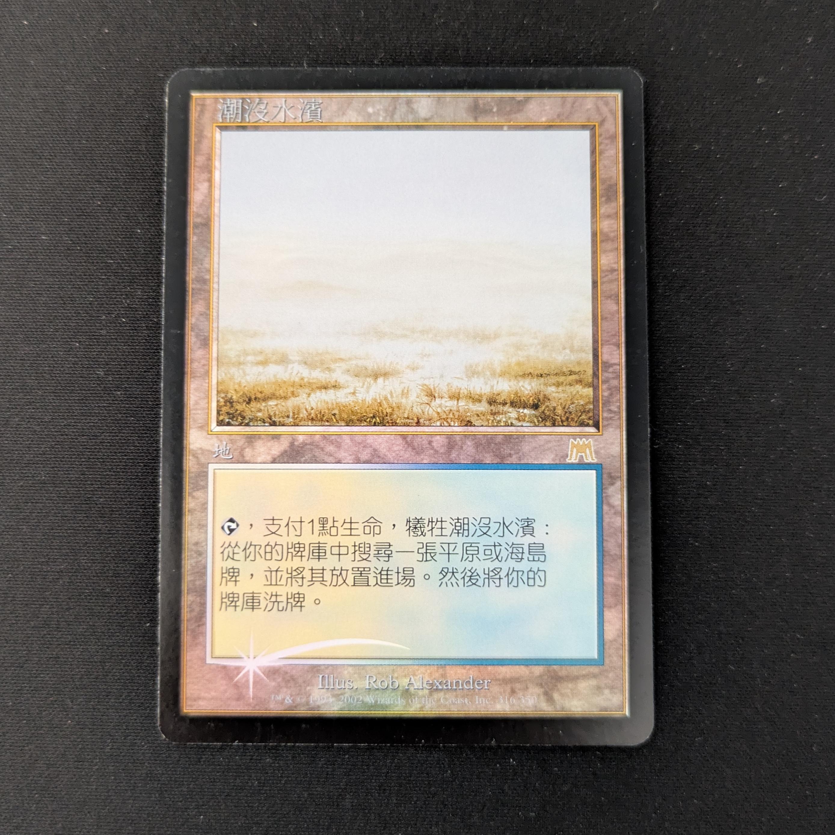 MTG Singles - [FOIL] Flooded Strand - Onslaught - NM - 