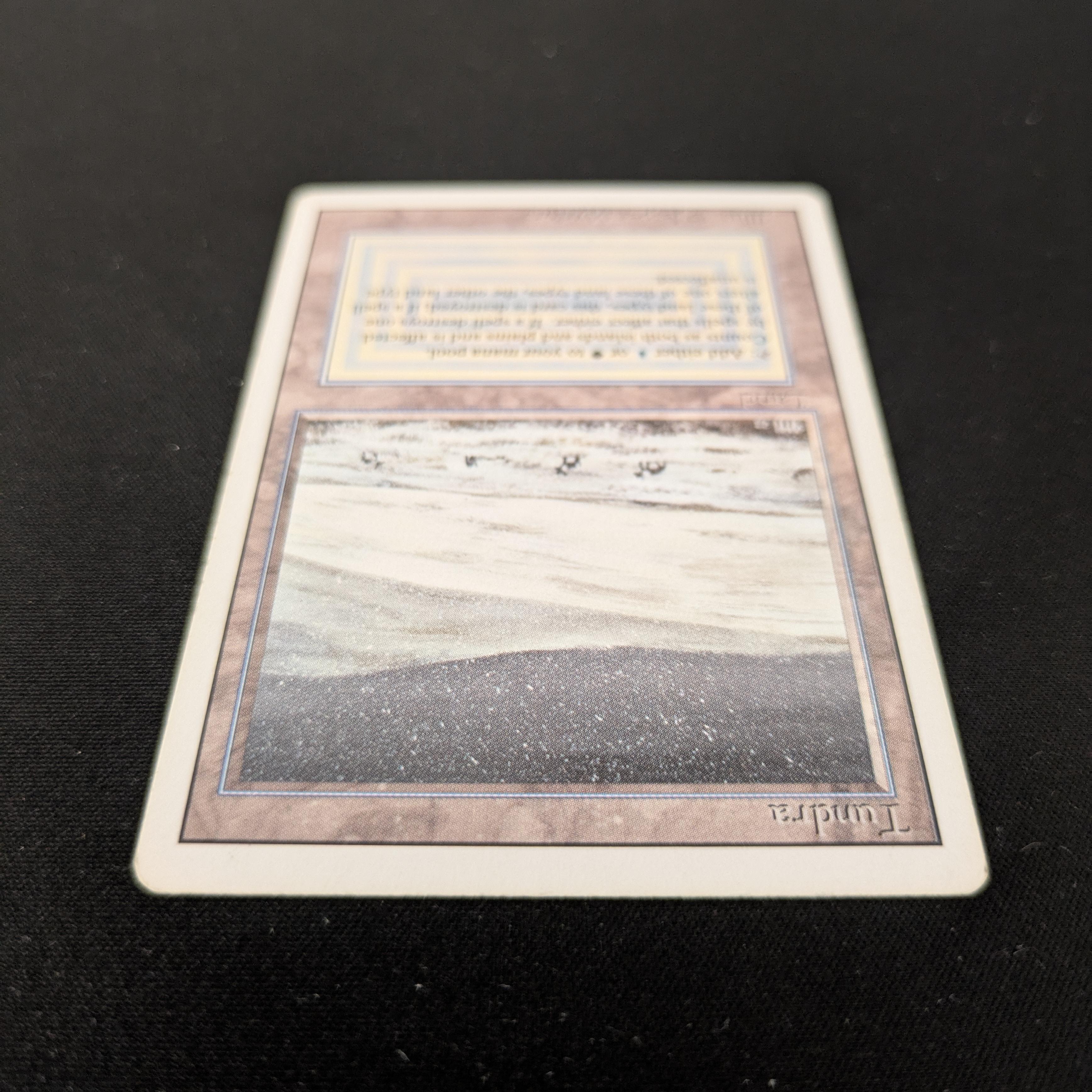 MTG Singles - Tundra - Revised - 