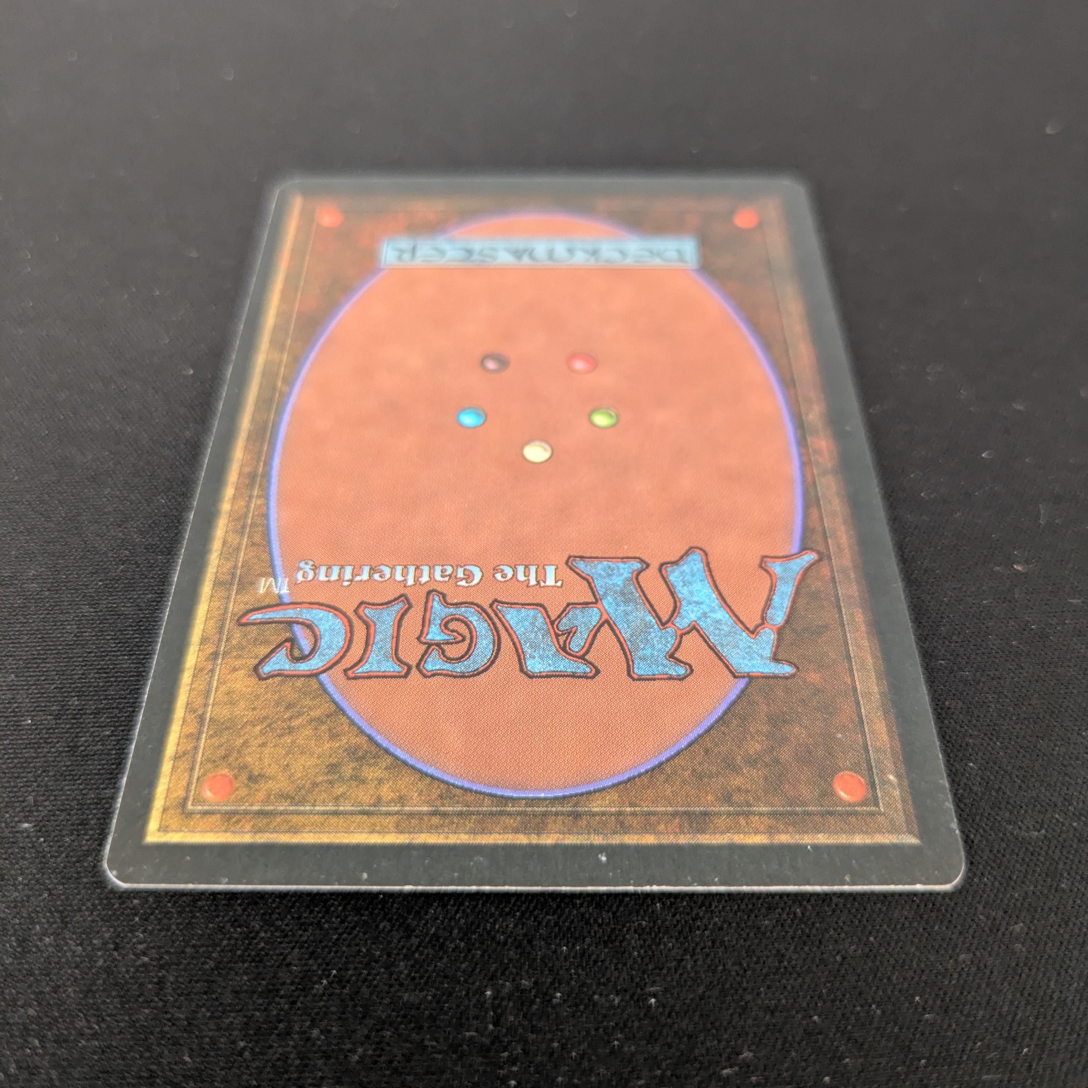 MTG Singles - Taiga - Foreign White Bordered - 