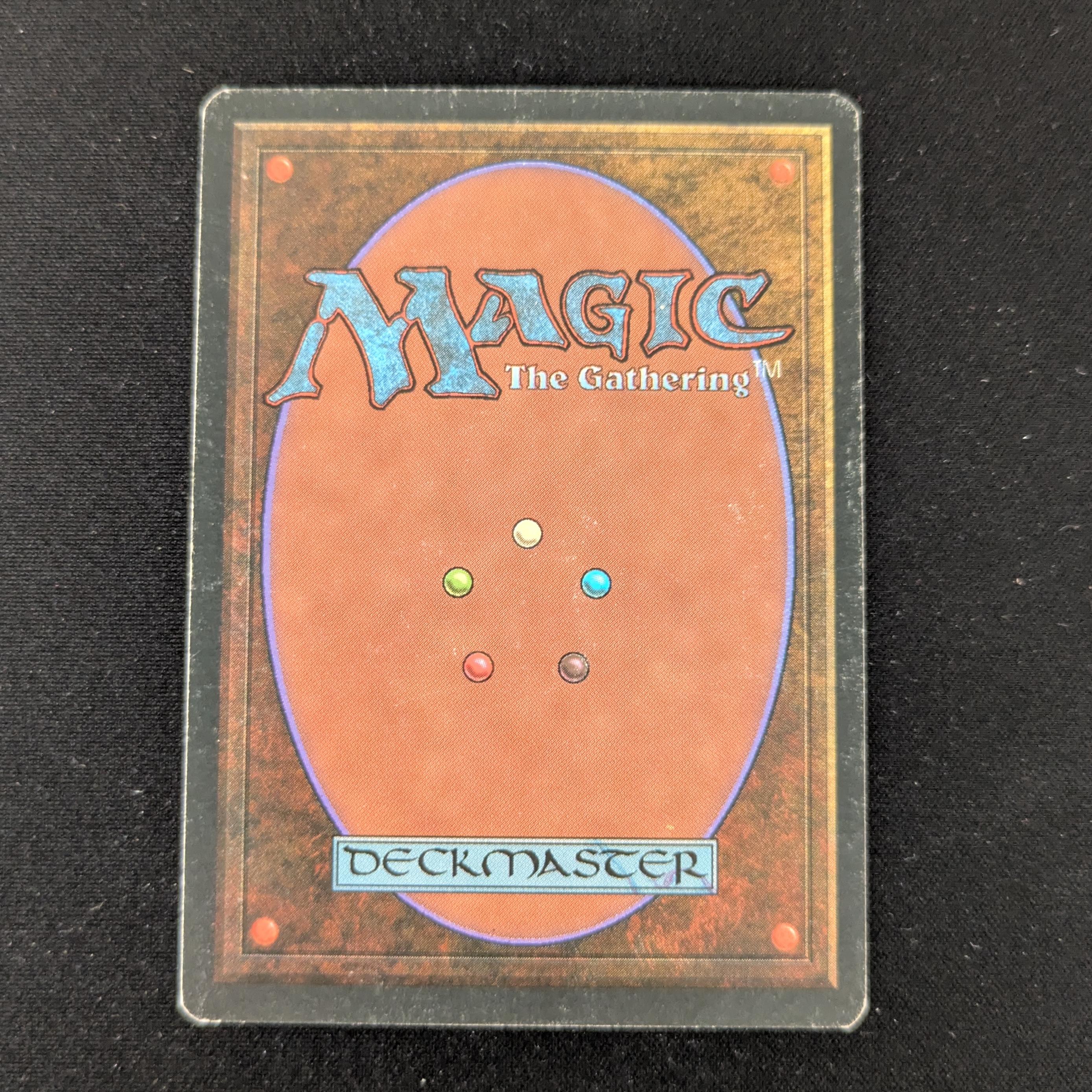 MTG Singles - Taiga - Foreign White Bordered - 