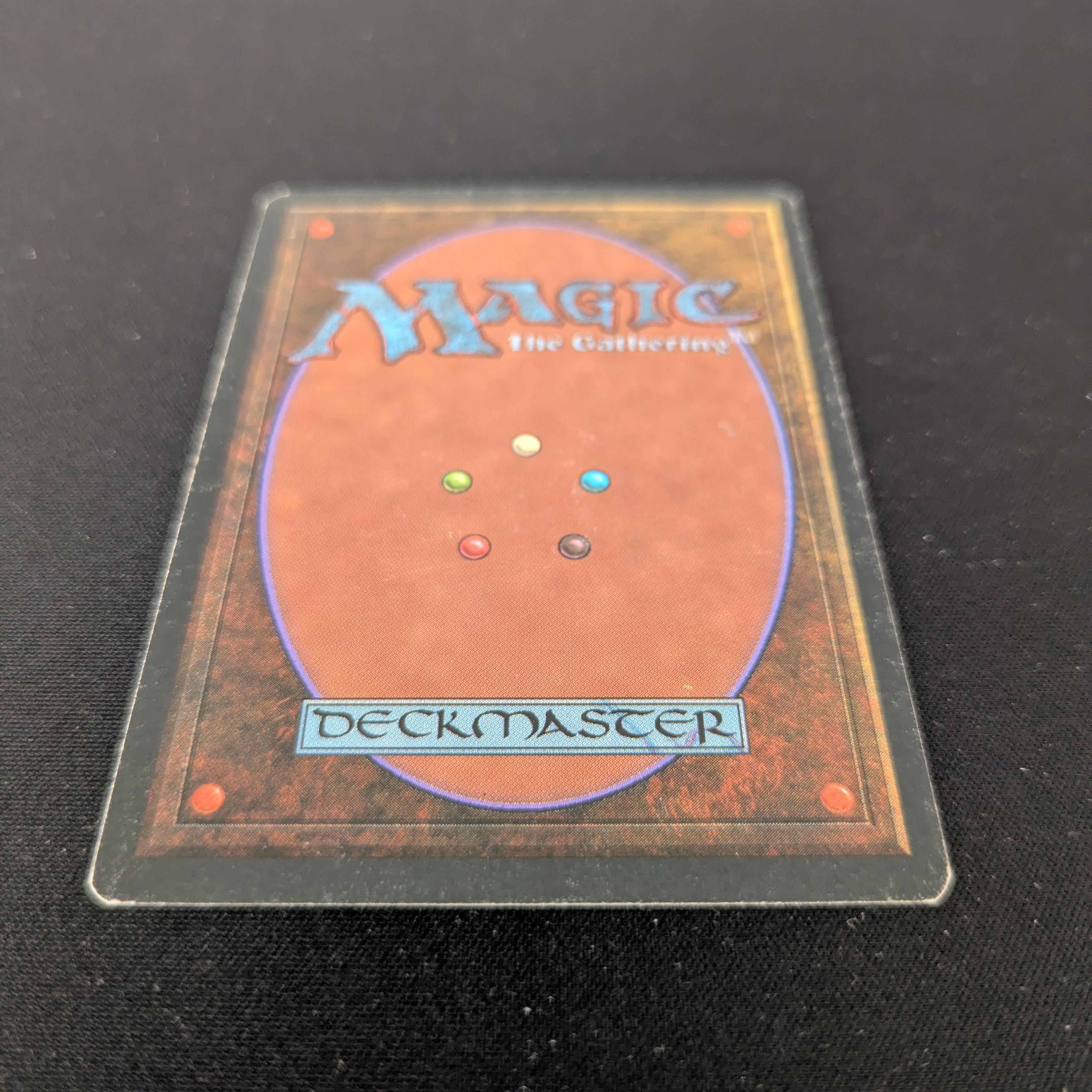 MTG Singles - Taiga - Foreign White Bordered - 