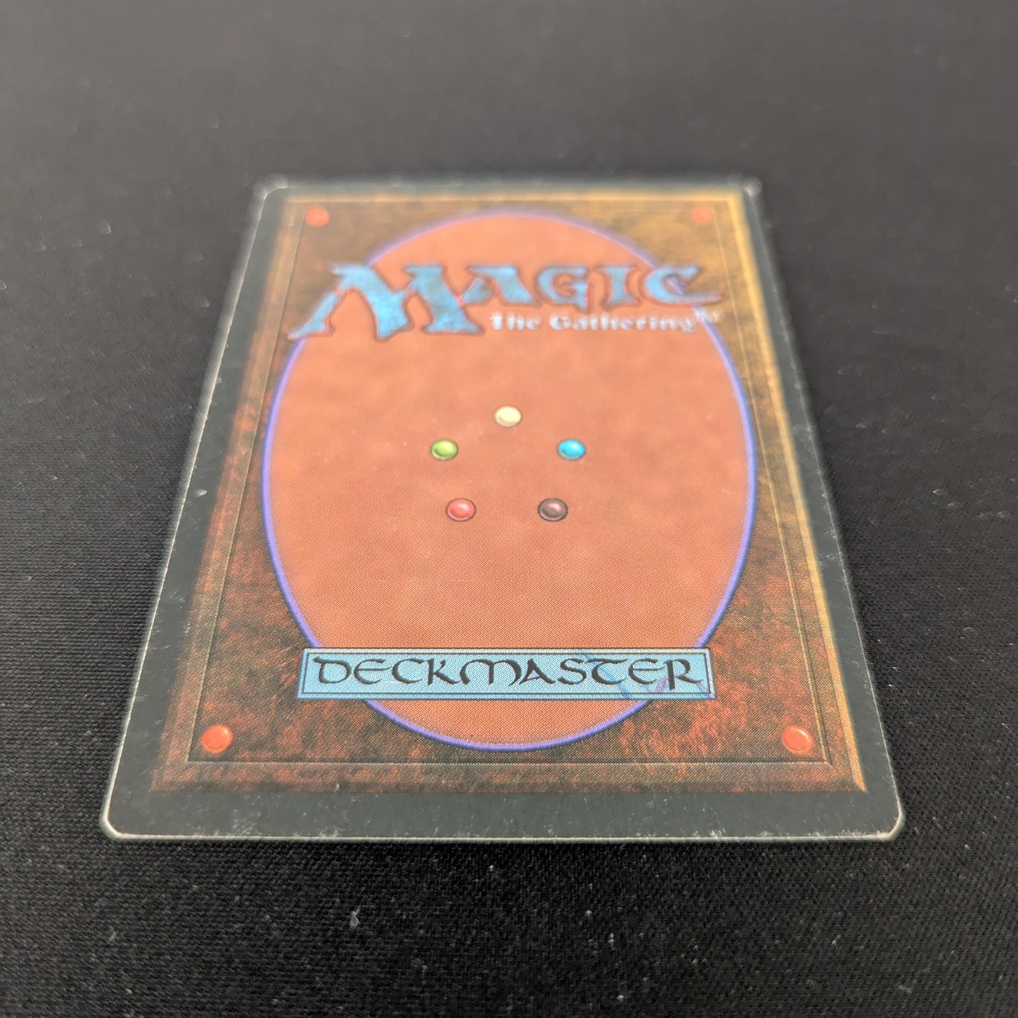MTG Singles - Taiga - Foreign White Bordered - 