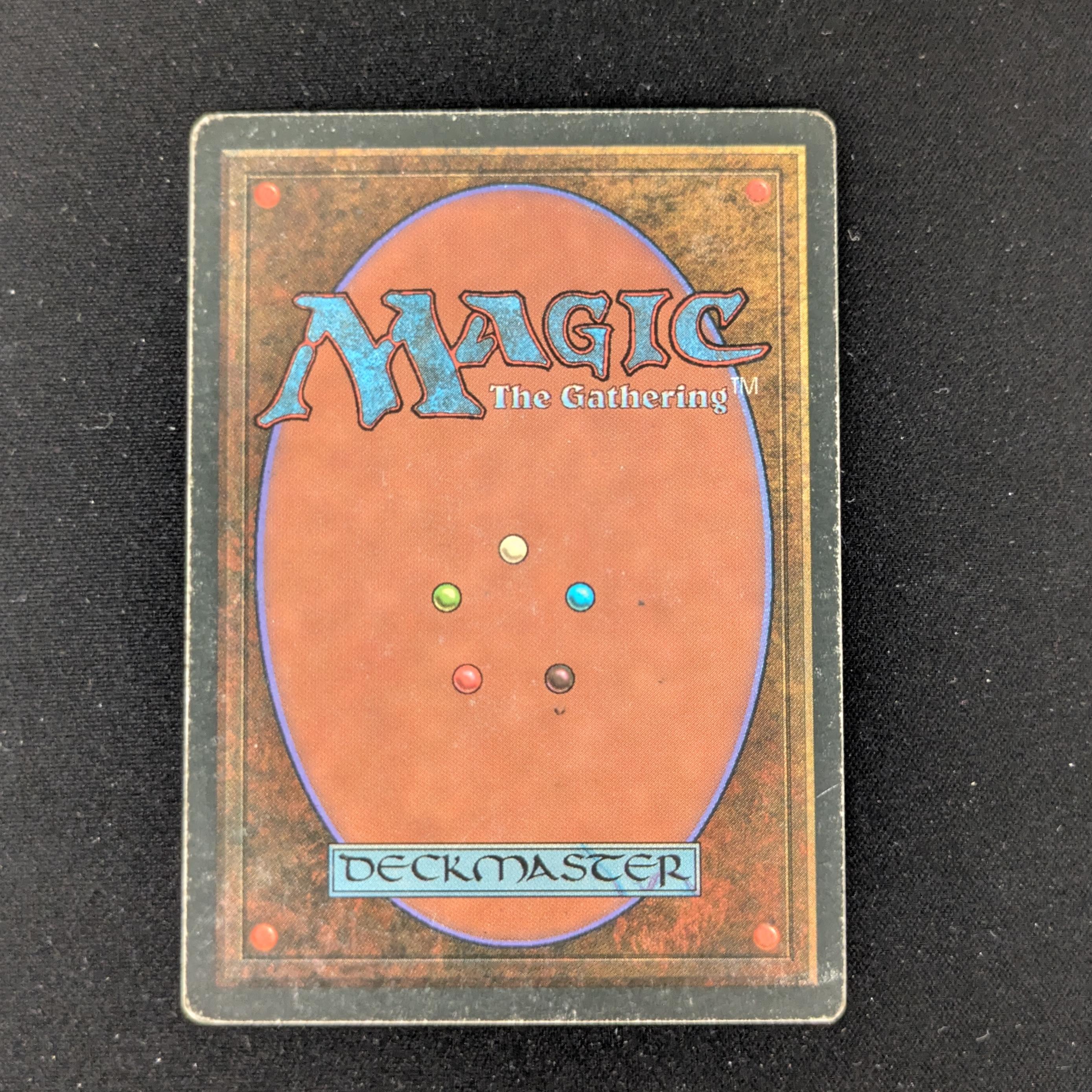 MTG Singles - Tundra - Foreign White Bordered - 