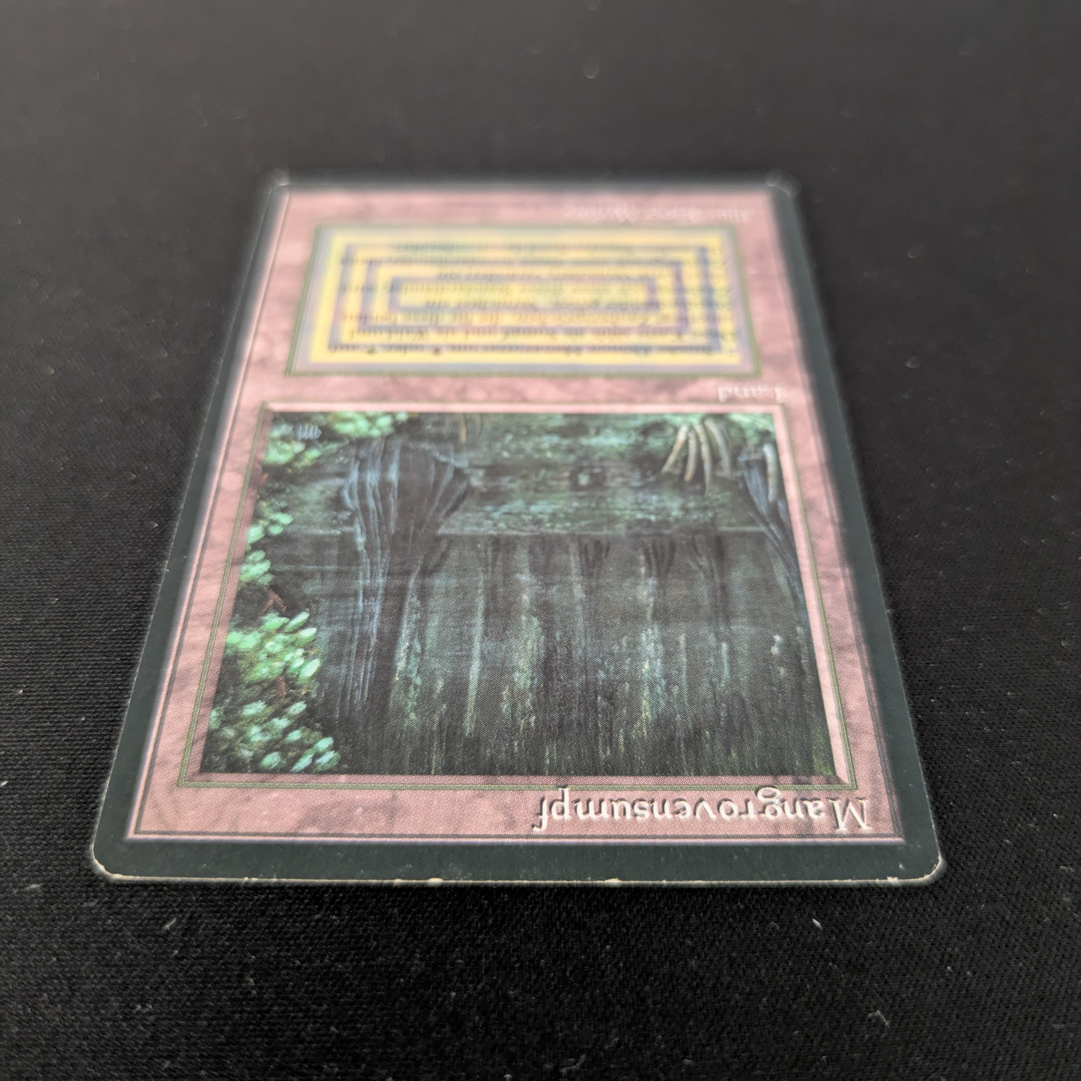 MTG Singles - Bayou - Foreign Black Bordered - 