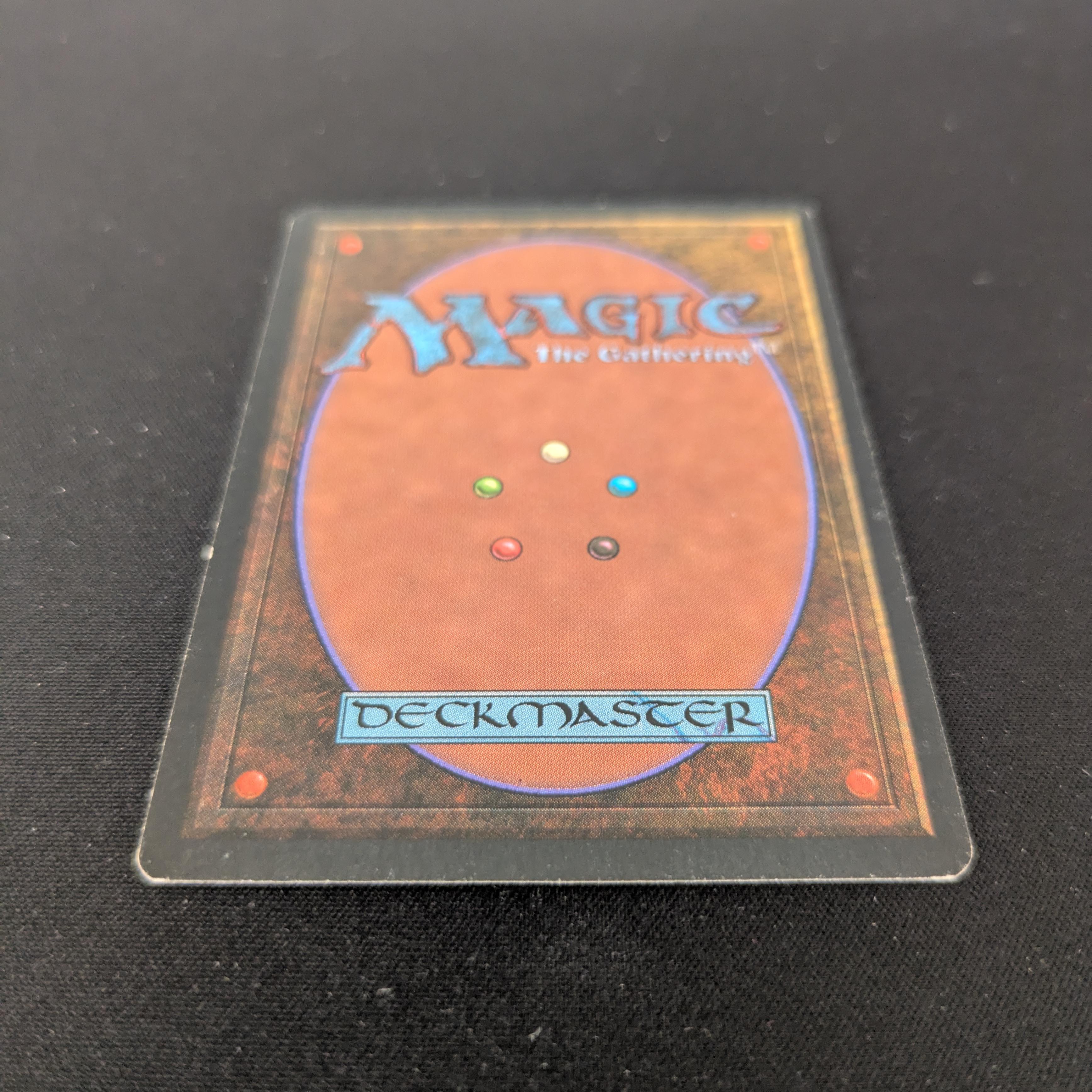 MTG Singles - Bayou - Foreign Black Bordered - 