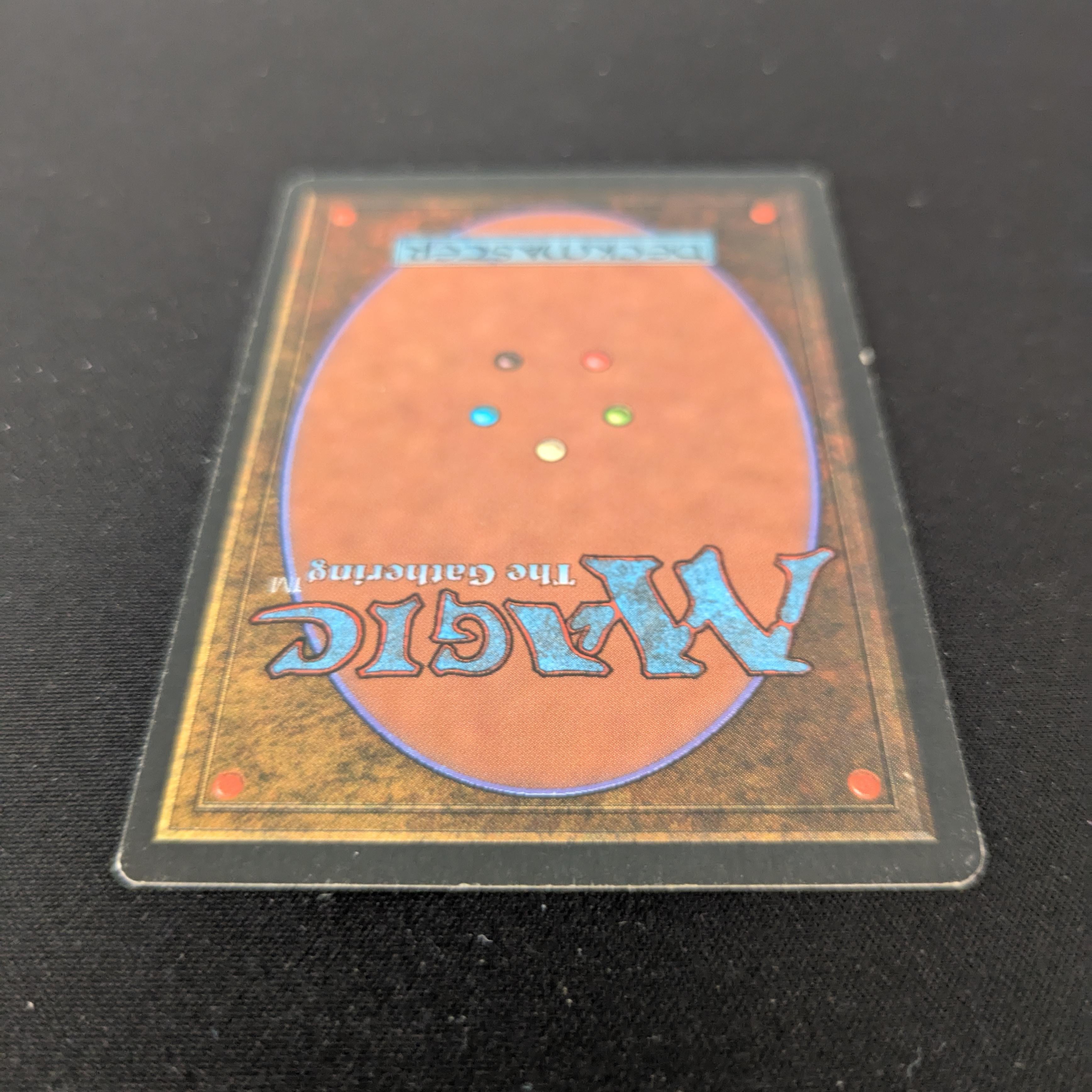 MTG Singles - Bayou - Foreign Black Bordered - 