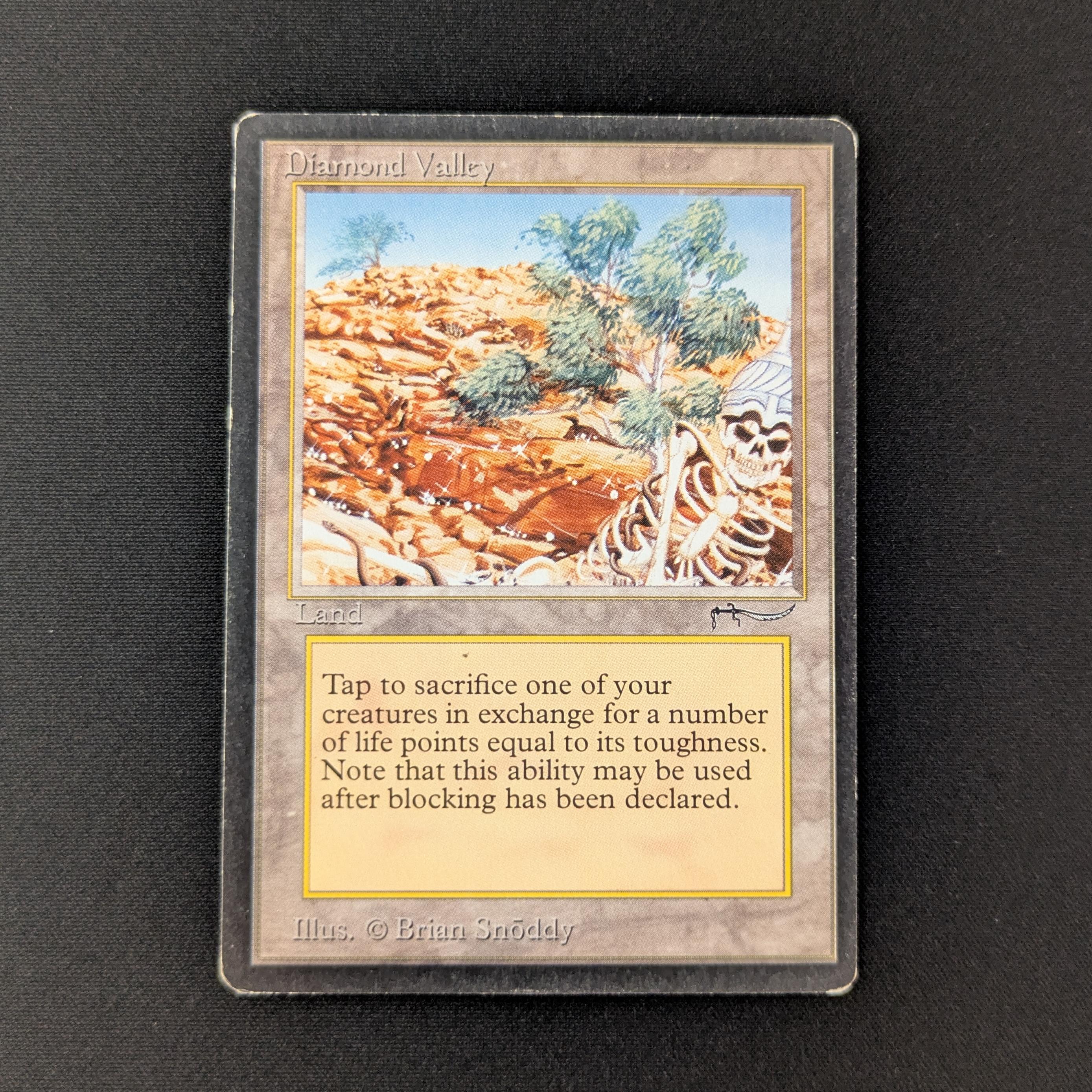 MTG Singles - Diamond Valley - Arabian Nights - LP - BINDER DING - 27382