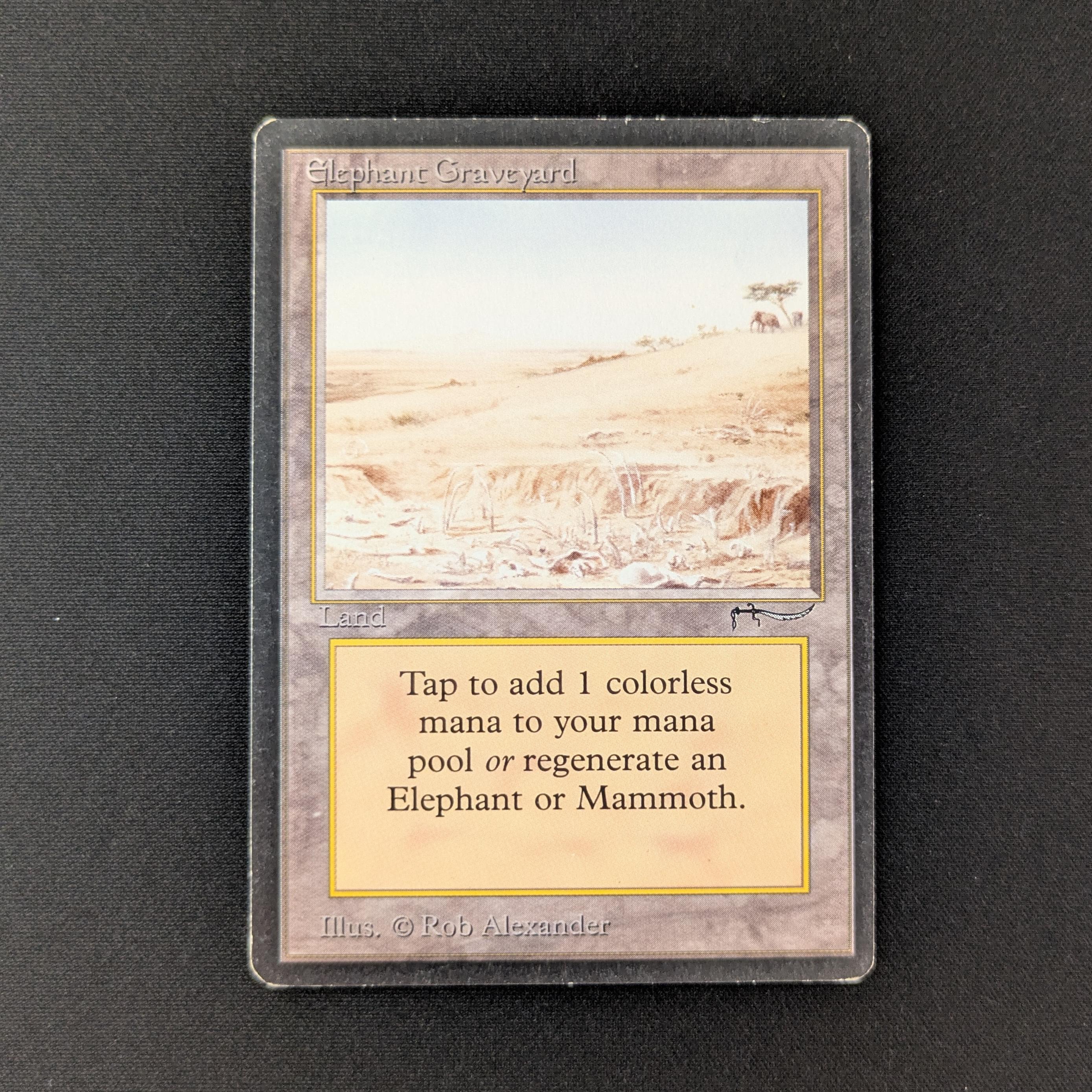 MTG Singles - Elephant Graveyard - Arabian Nights - LP - 27383