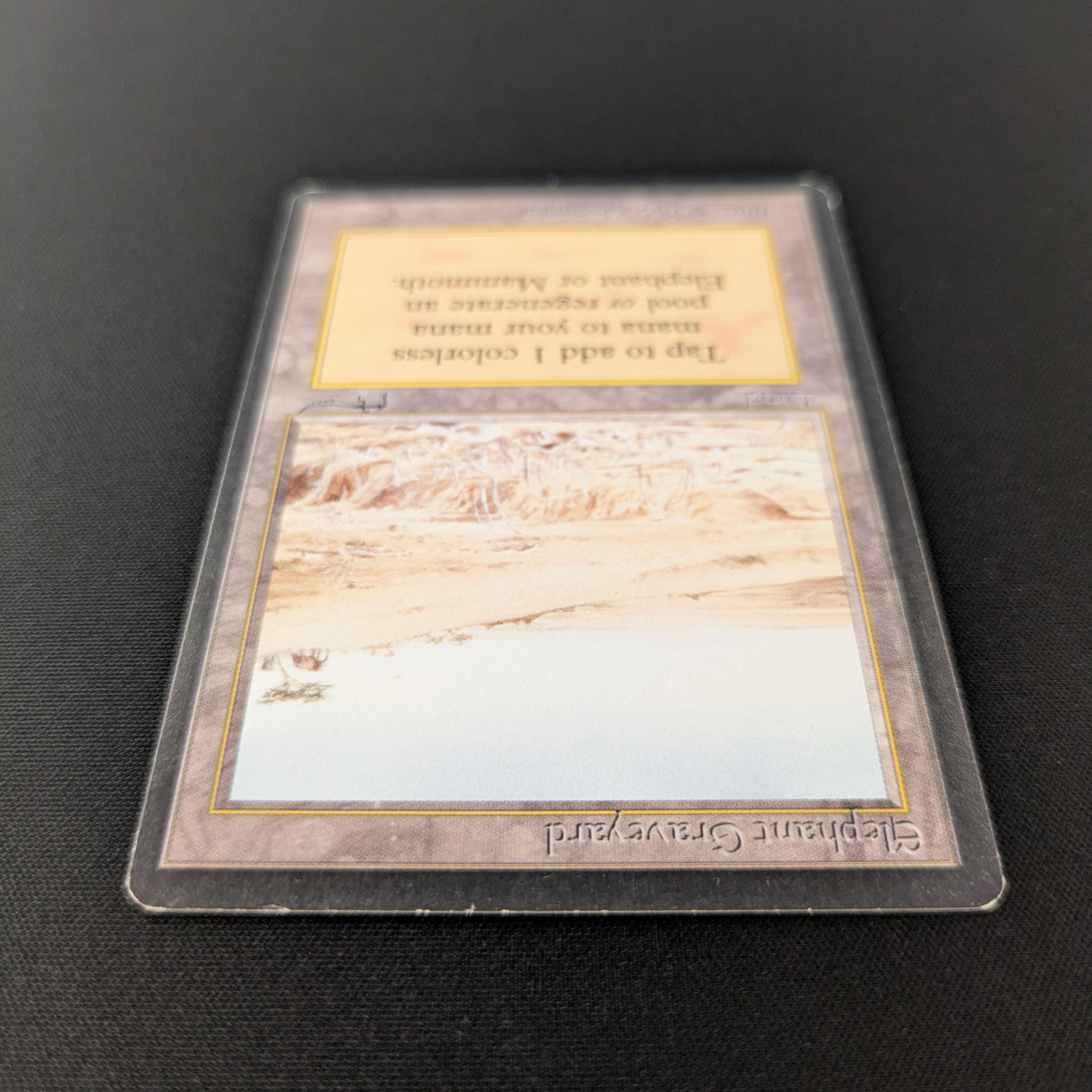 MTG Singles - Elephant Graveyard - Arabian Nights - 