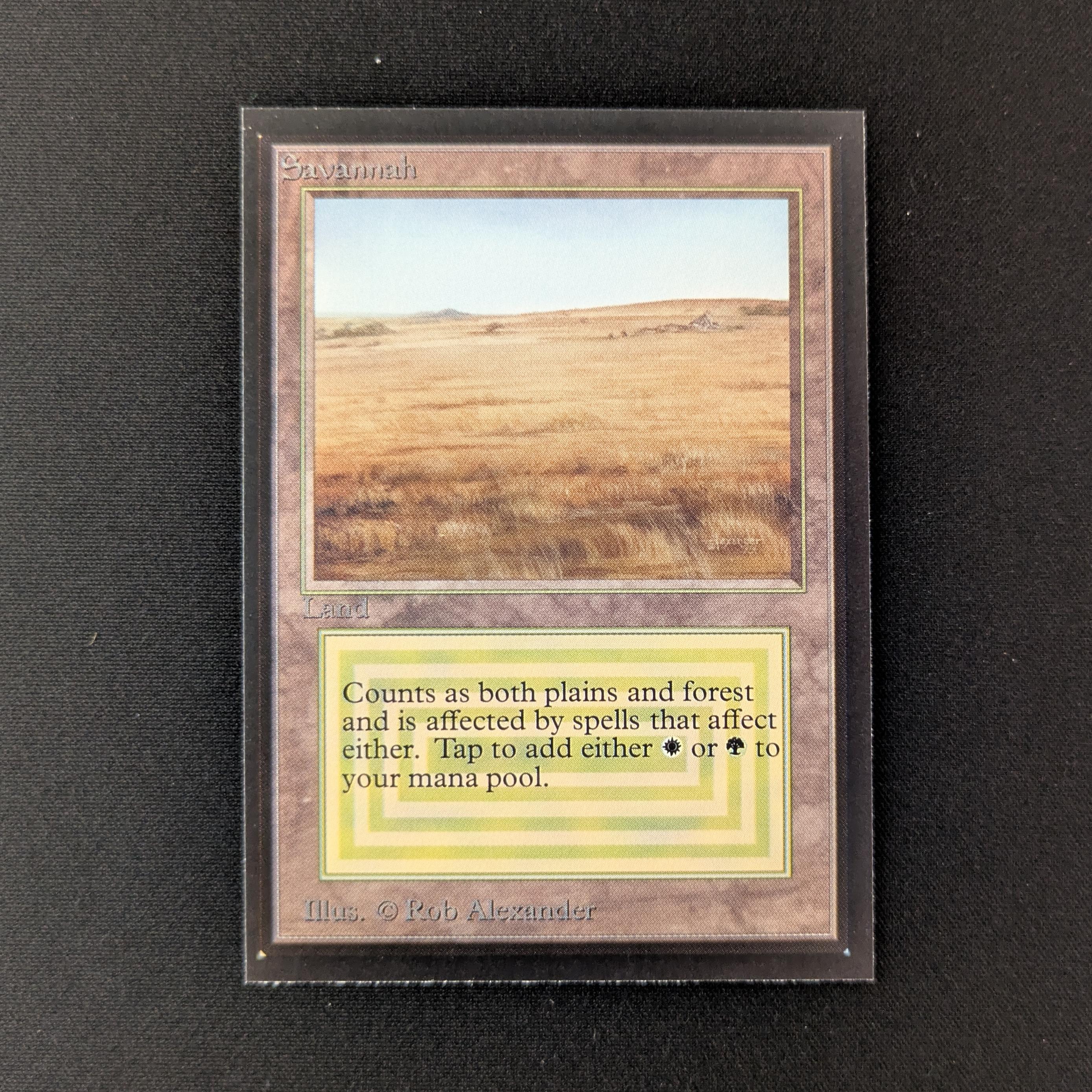 MTG Singles - Savannah - International Edition - NM - 27417