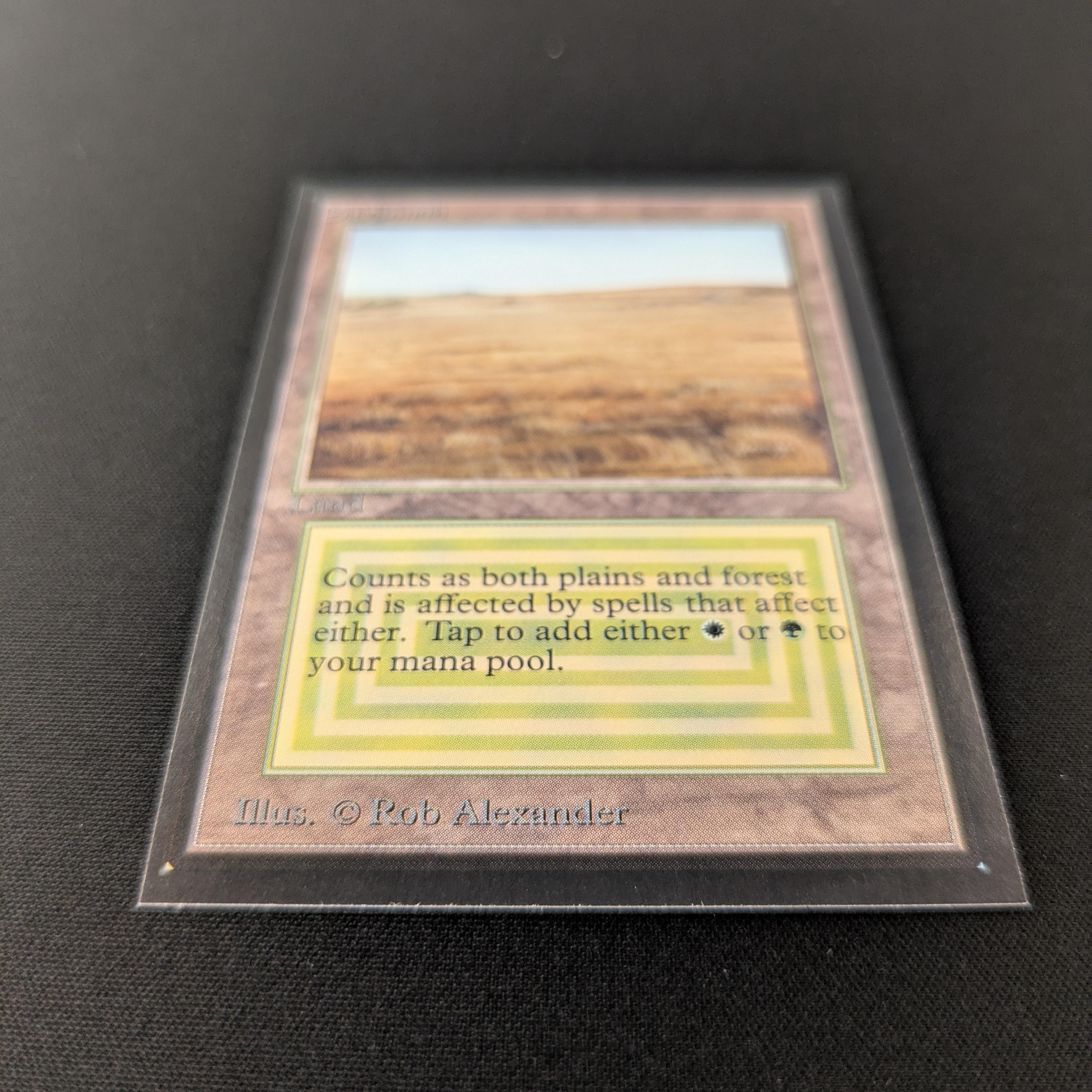 MTG Singles - Savannah - International Edition - 