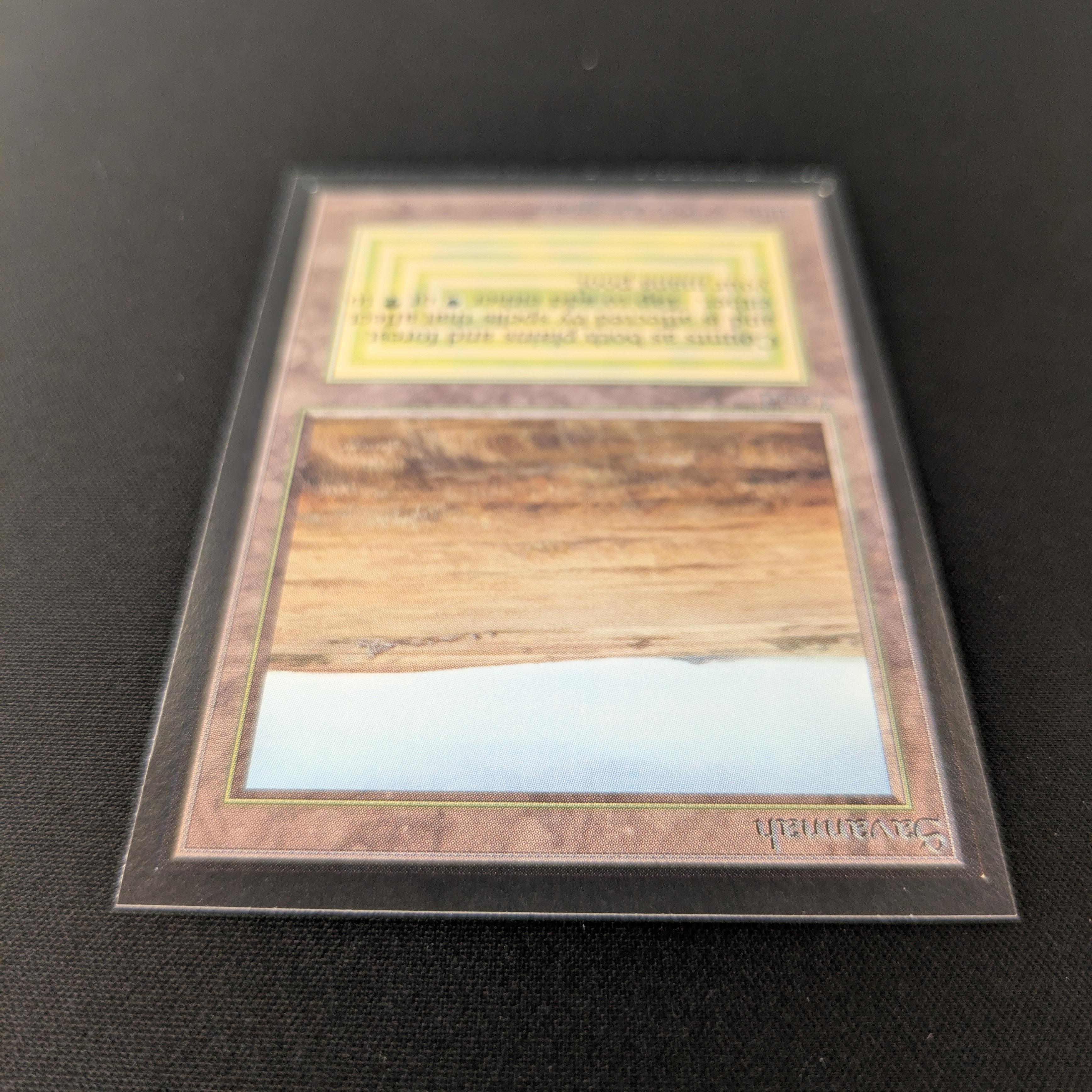 MTG Singles - Savannah - International Edition - 