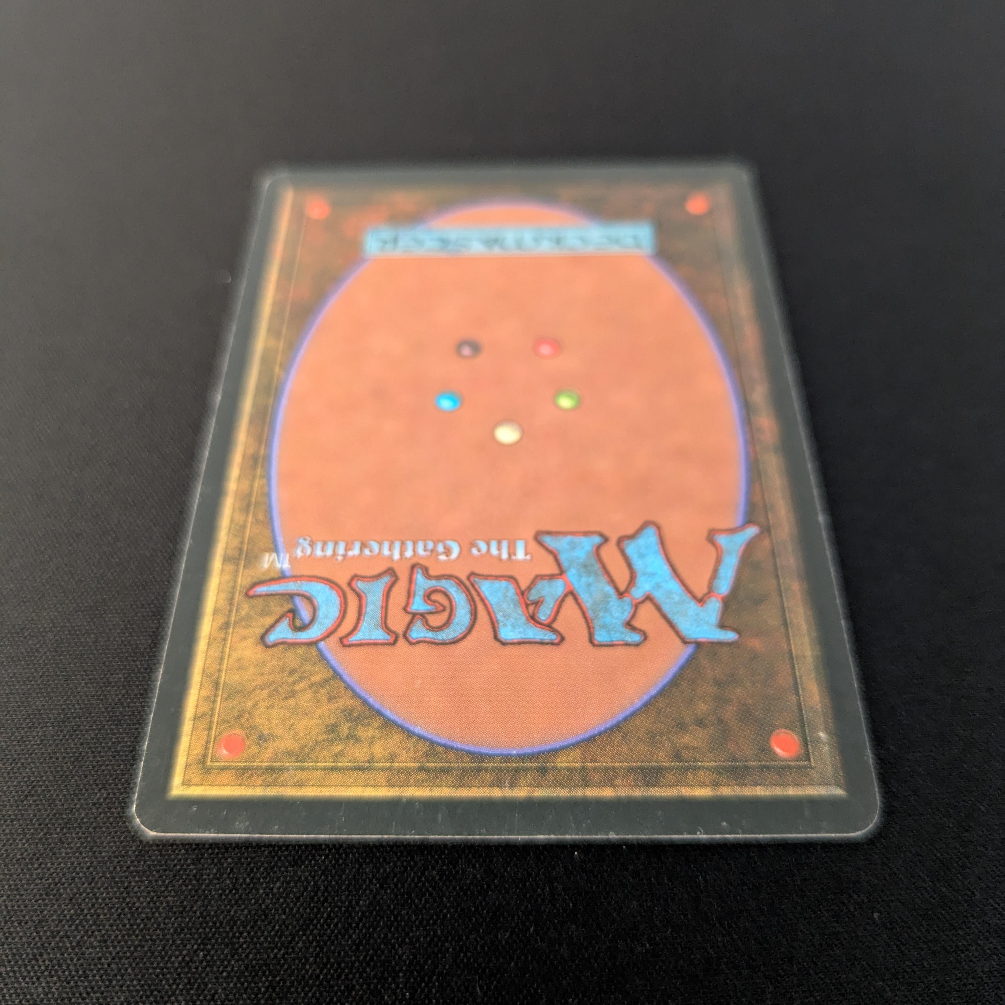 MTG Singles - Bayou - Foreign White Bordered - 