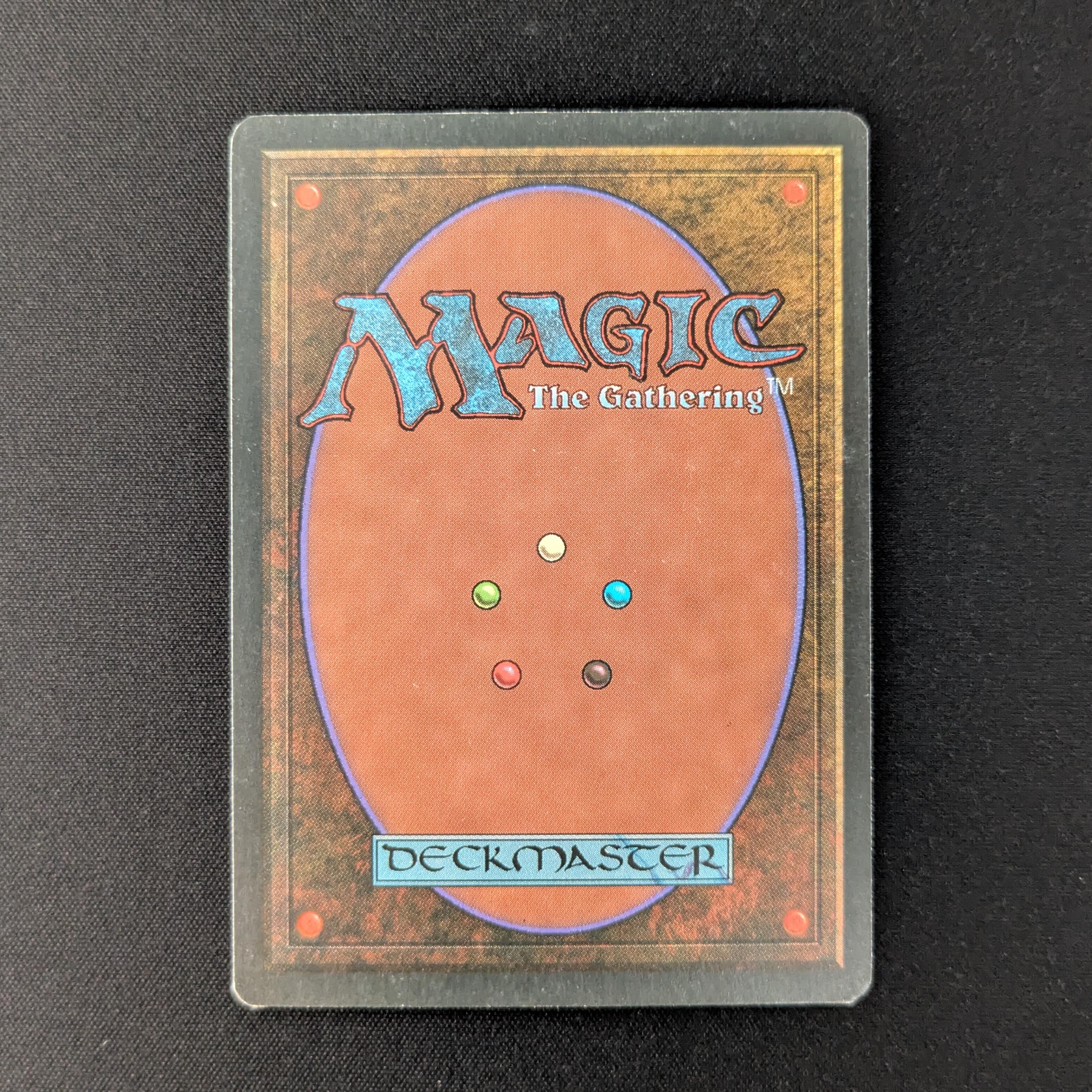 MTG Singles - Bayou - Foreign Black Bordered - 