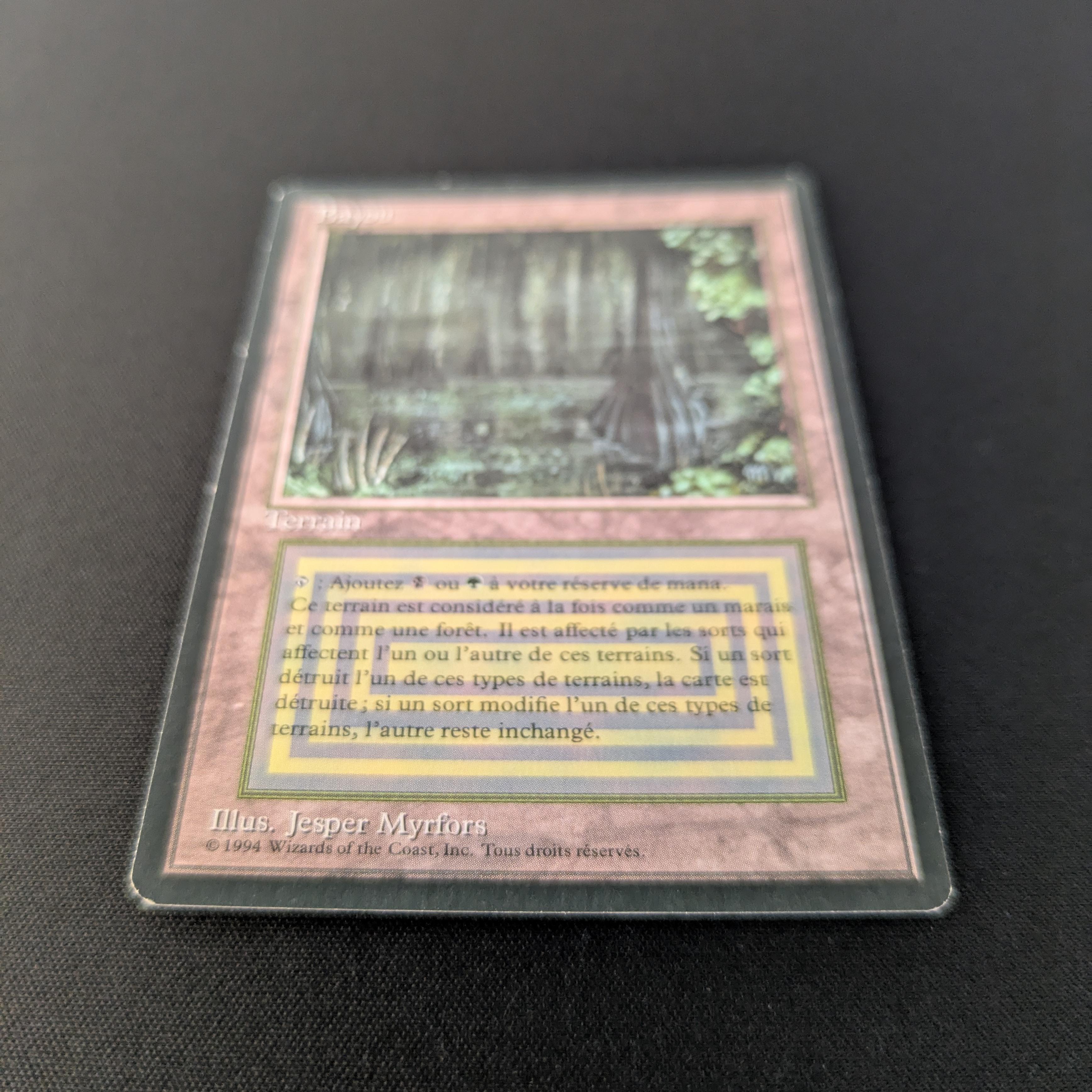 MTG Singles - Bayou - Foreign Black Bordered - 