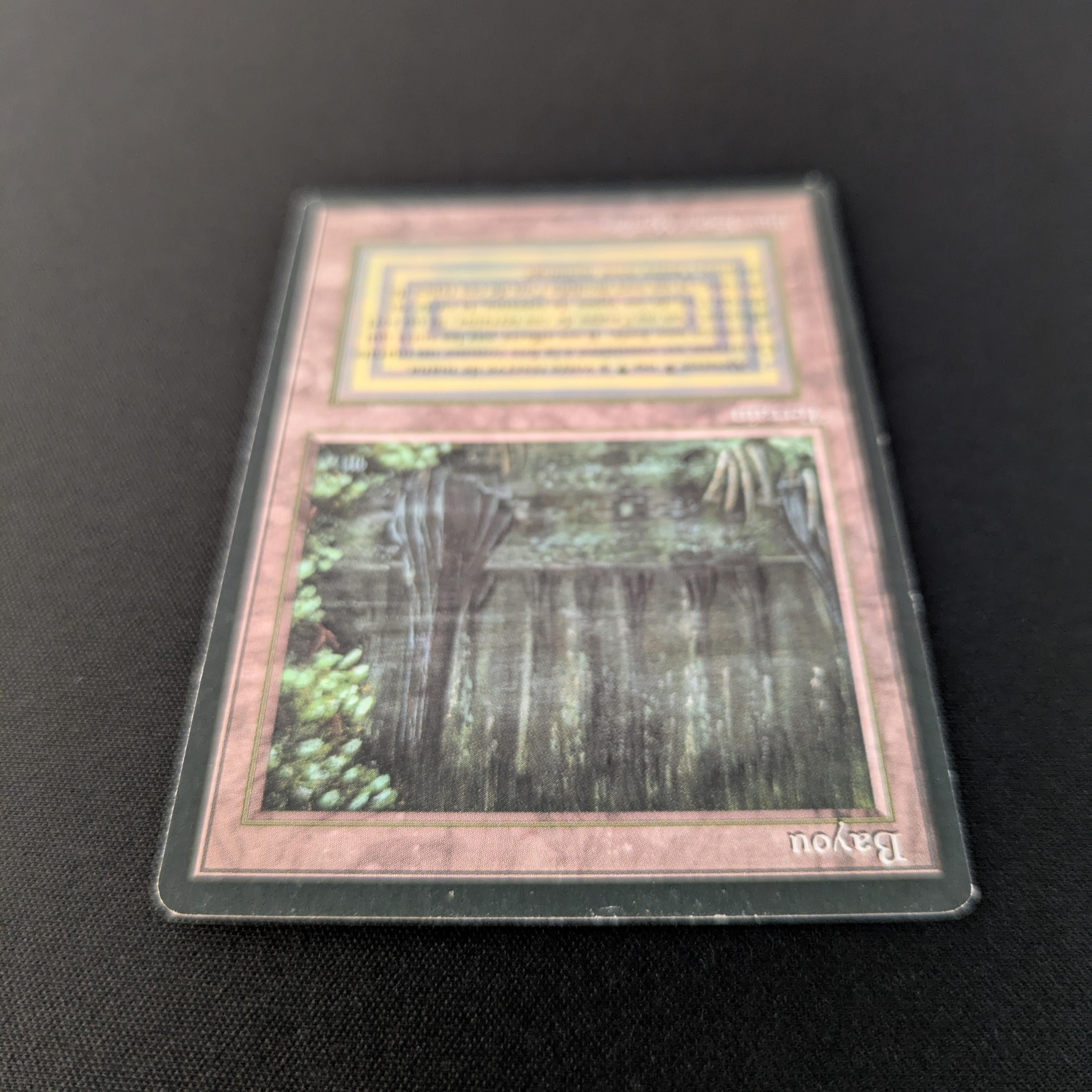 MTG Singles - Bayou - Foreign Black Bordered - 