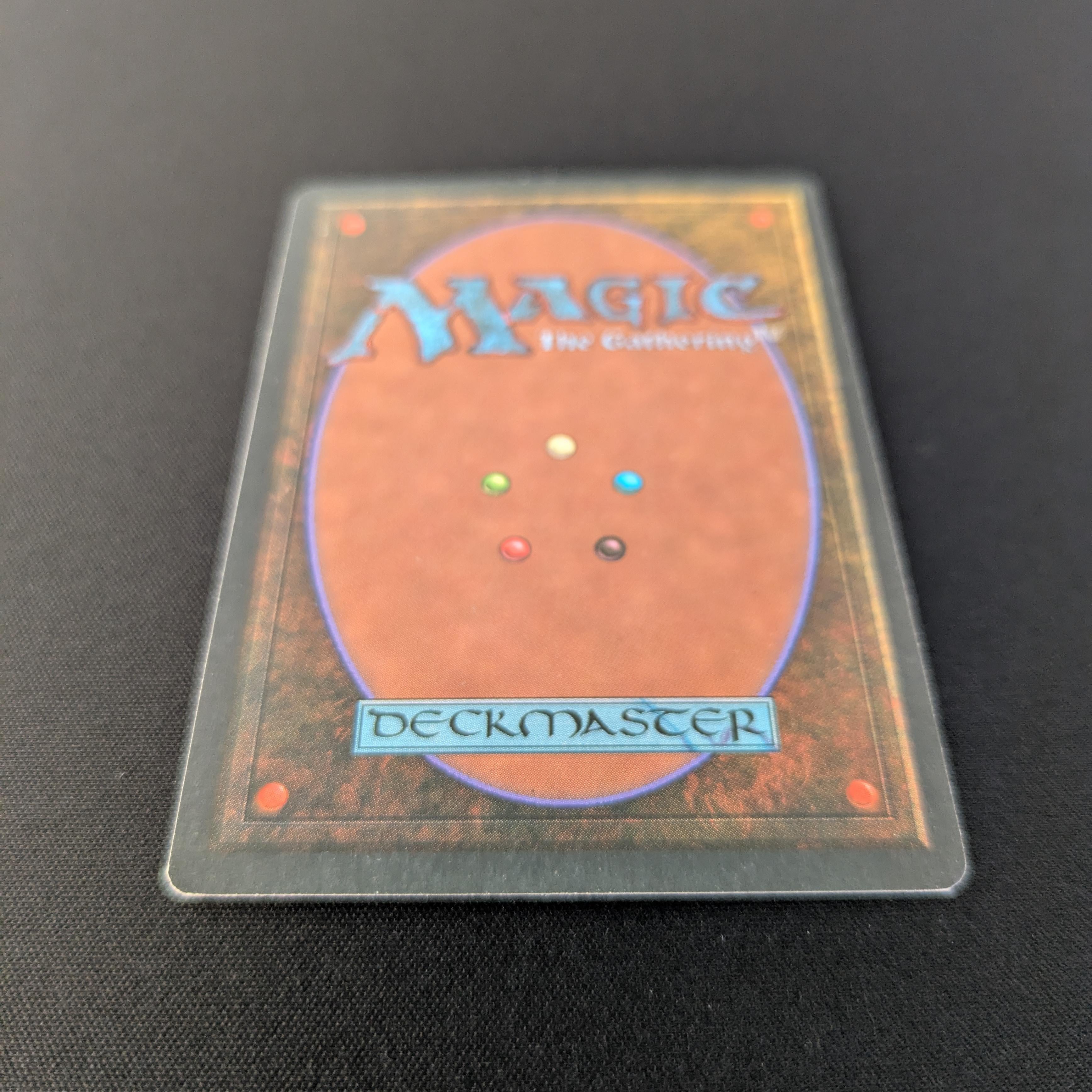 MTG Singles - Bayou - Foreign Black Bordered - 