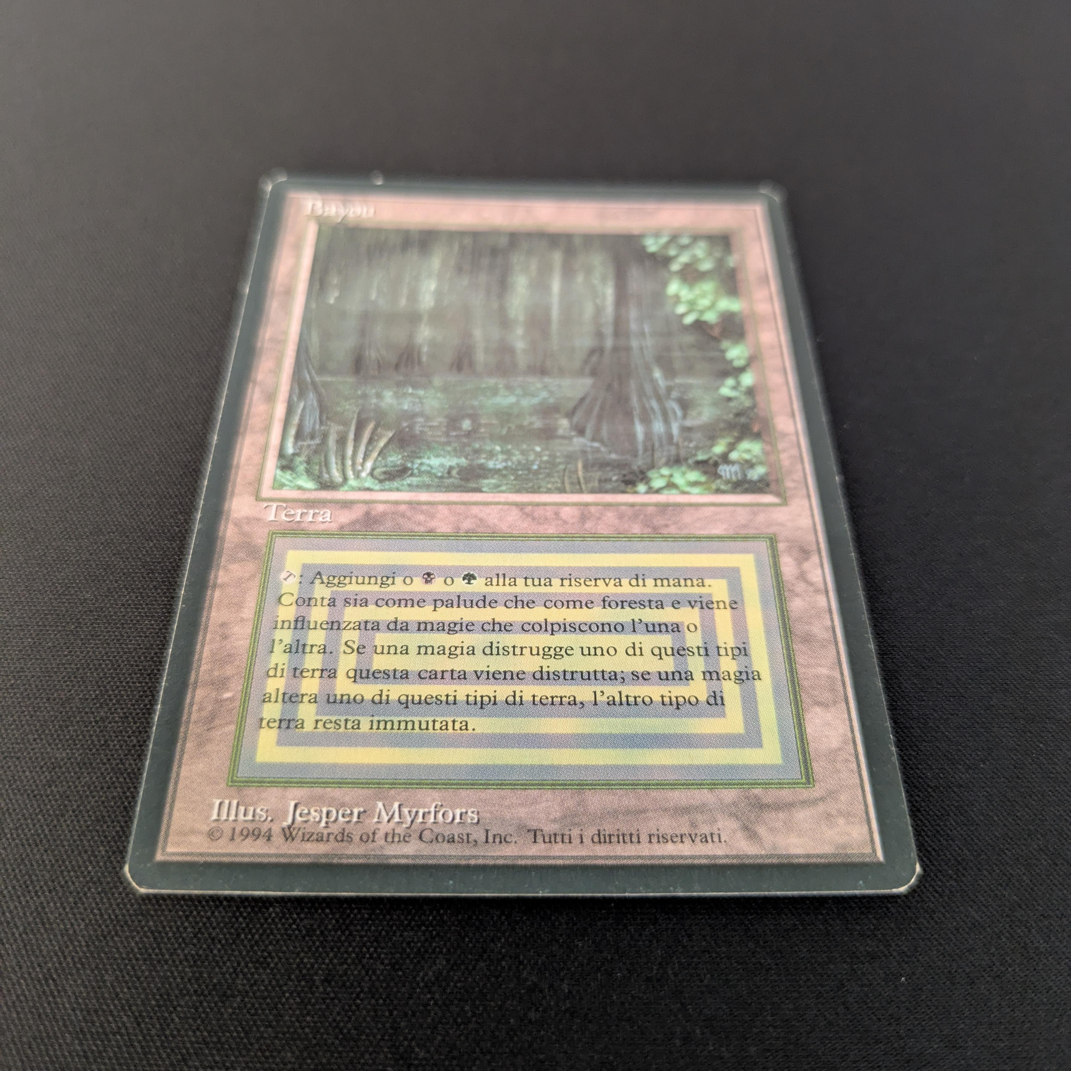 MTG Singles - Bayou - Foreign Black Bordered - 