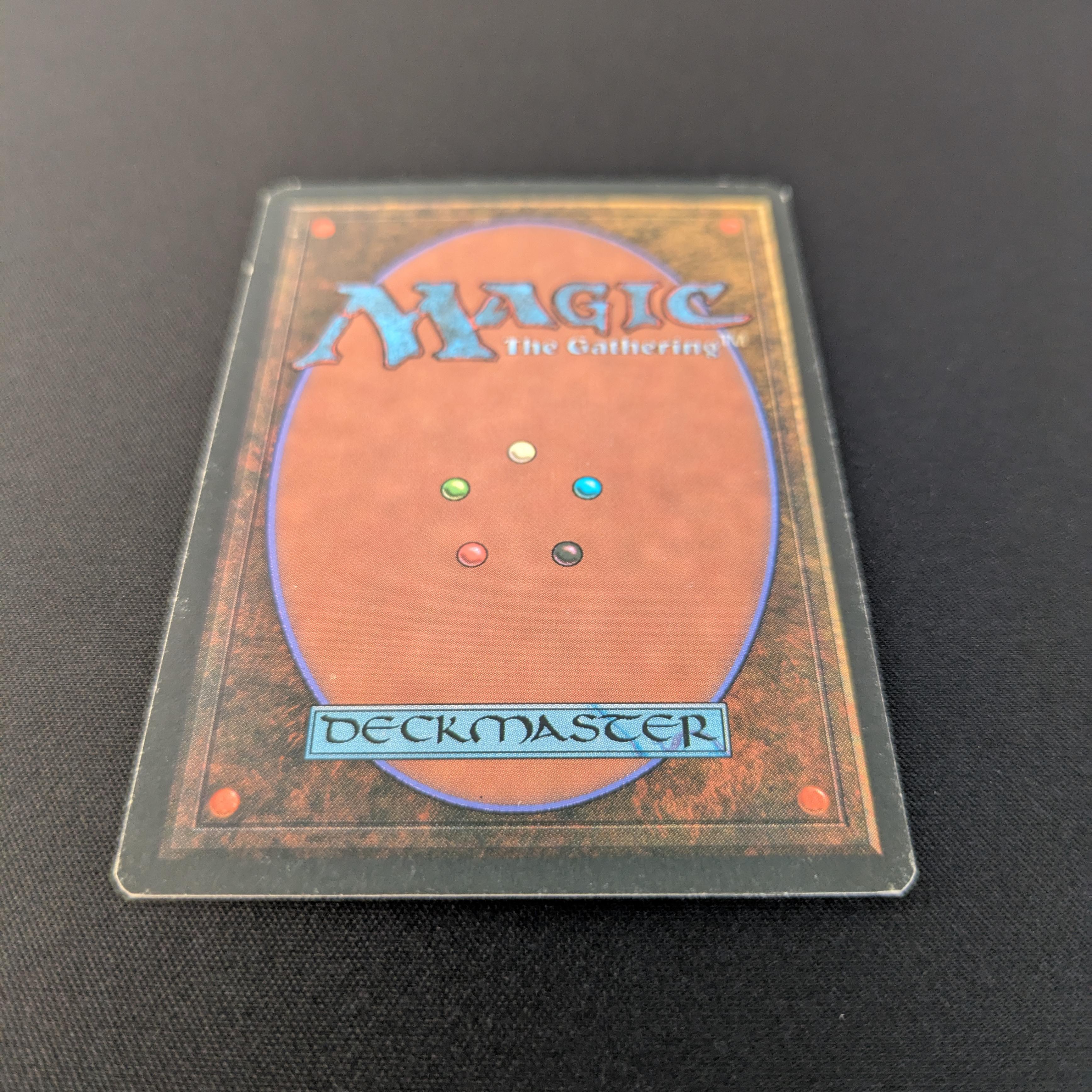 MTG Singles - Bayou - Foreign Black Bordered - 
