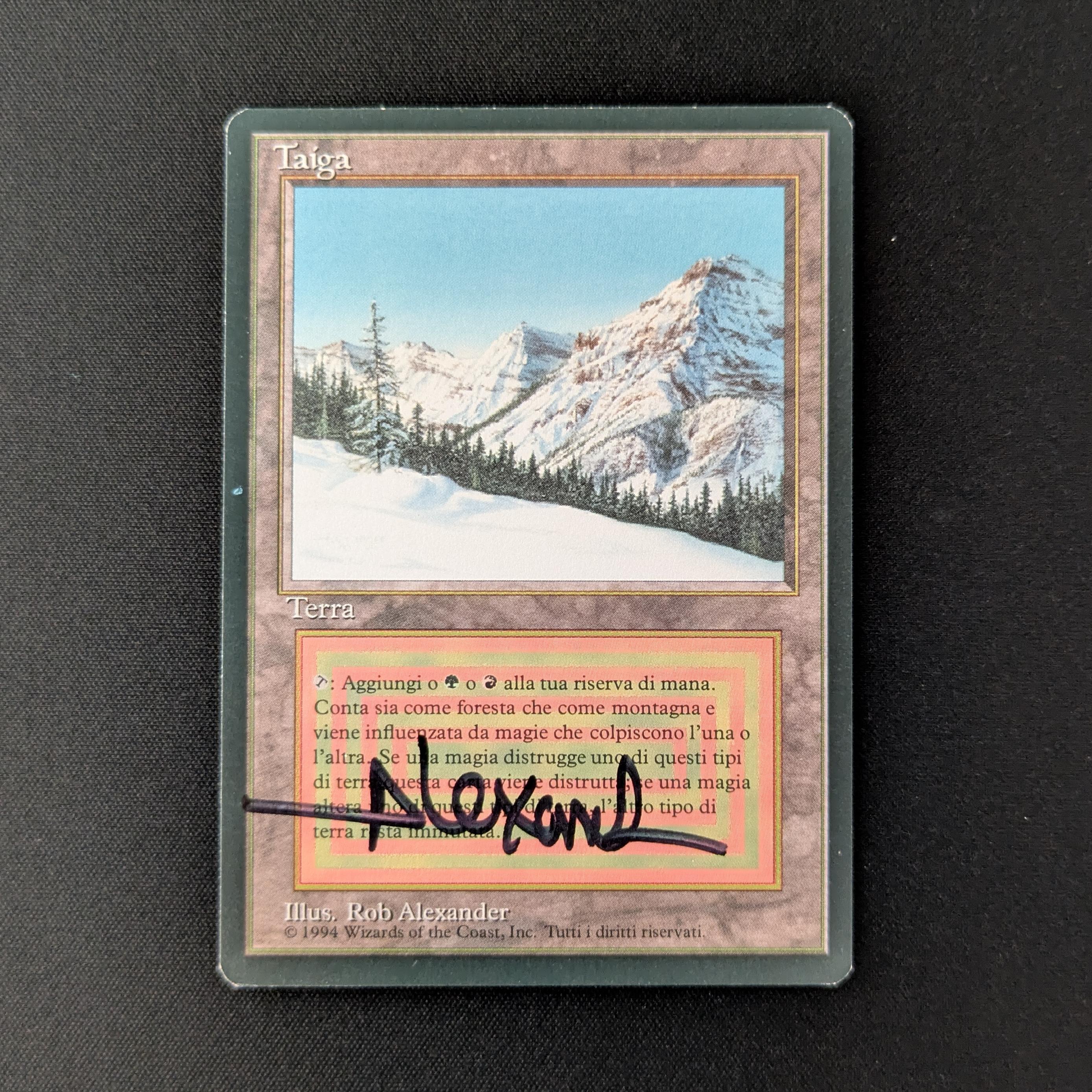 MTG Singles - Taiga - Foreign Black Bordered - Italian - NM - SIGNED - 27549