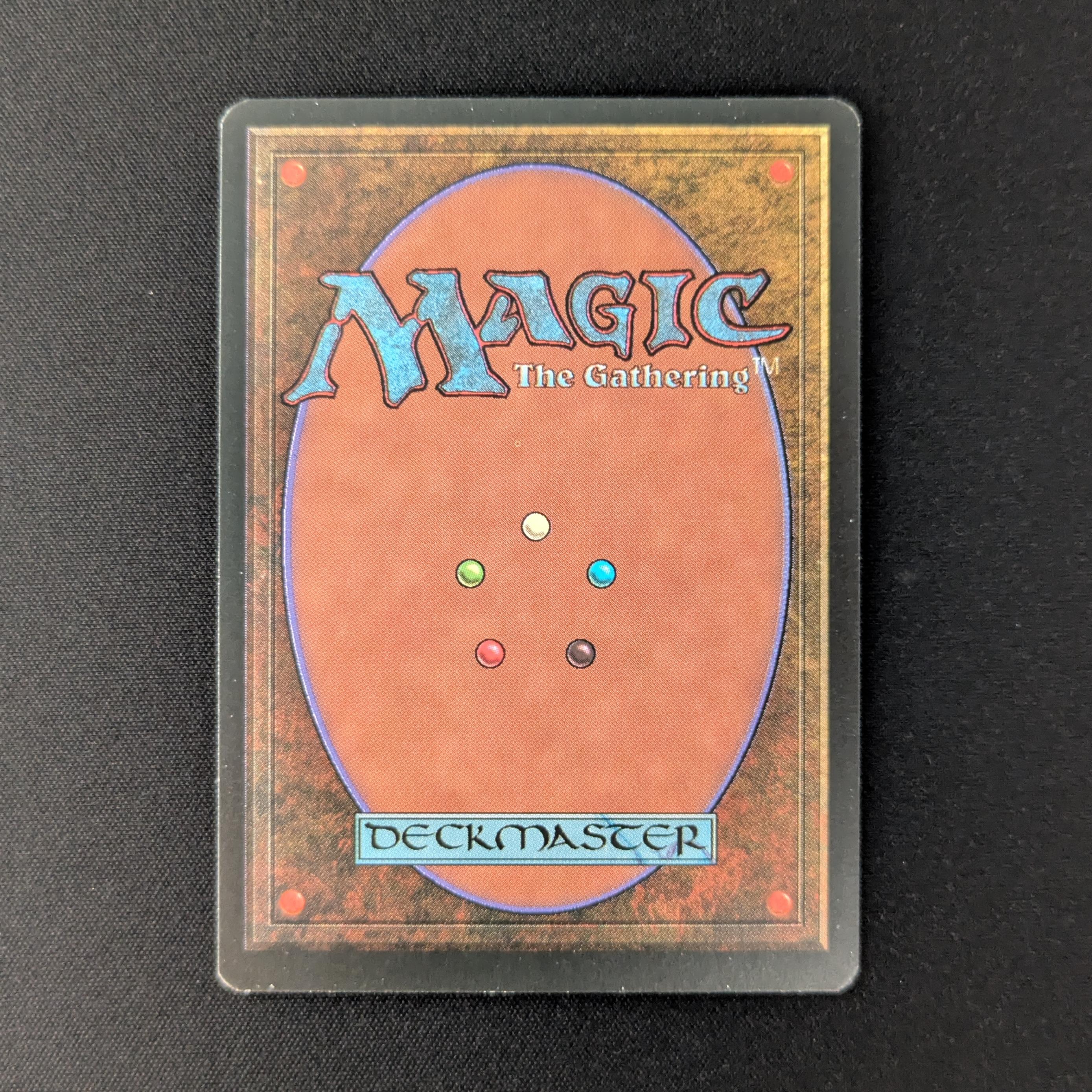 MTG Singles - Taiga - Foreign Black Bordered - 