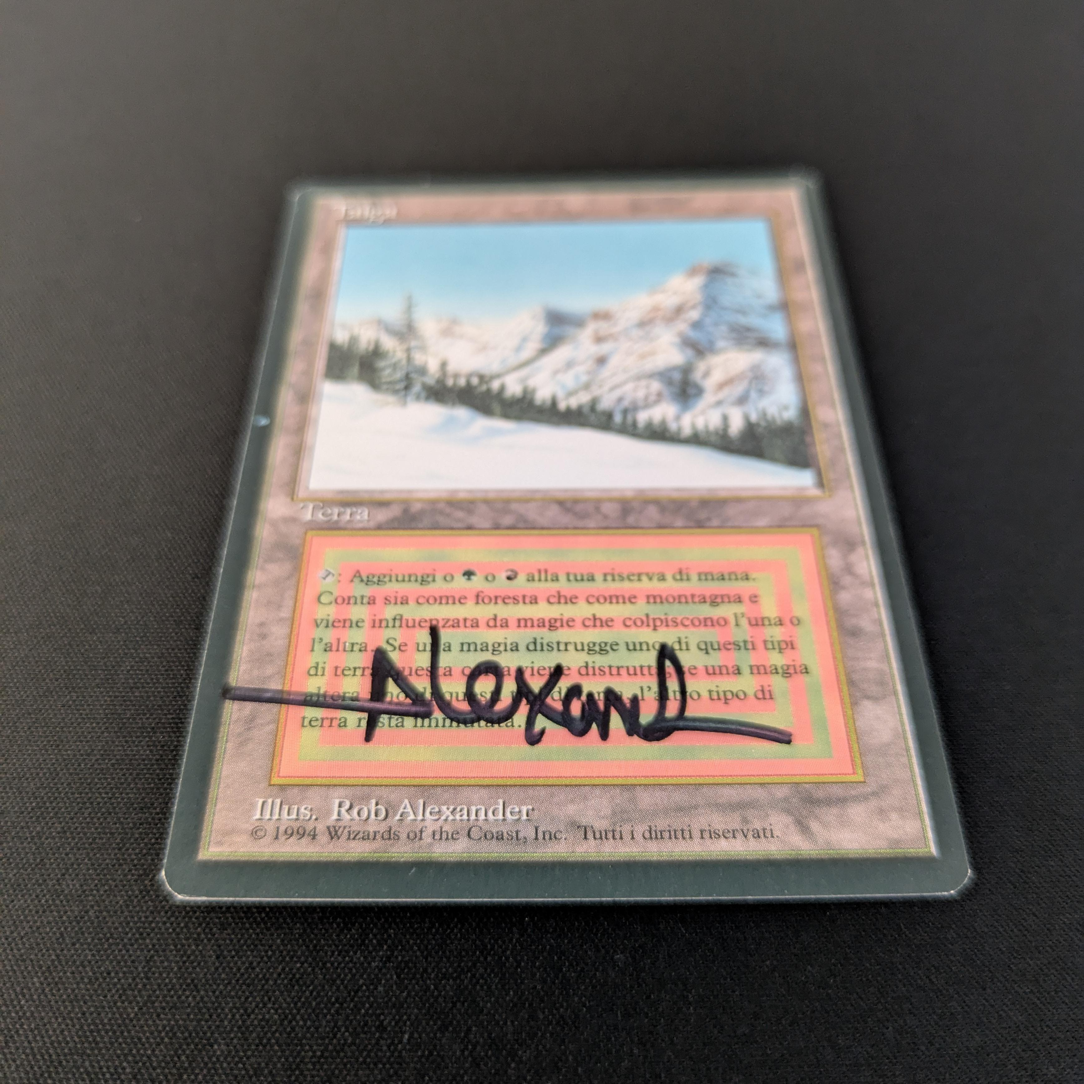 MTG Singles - Taiga - Foreign Black Bordered - 