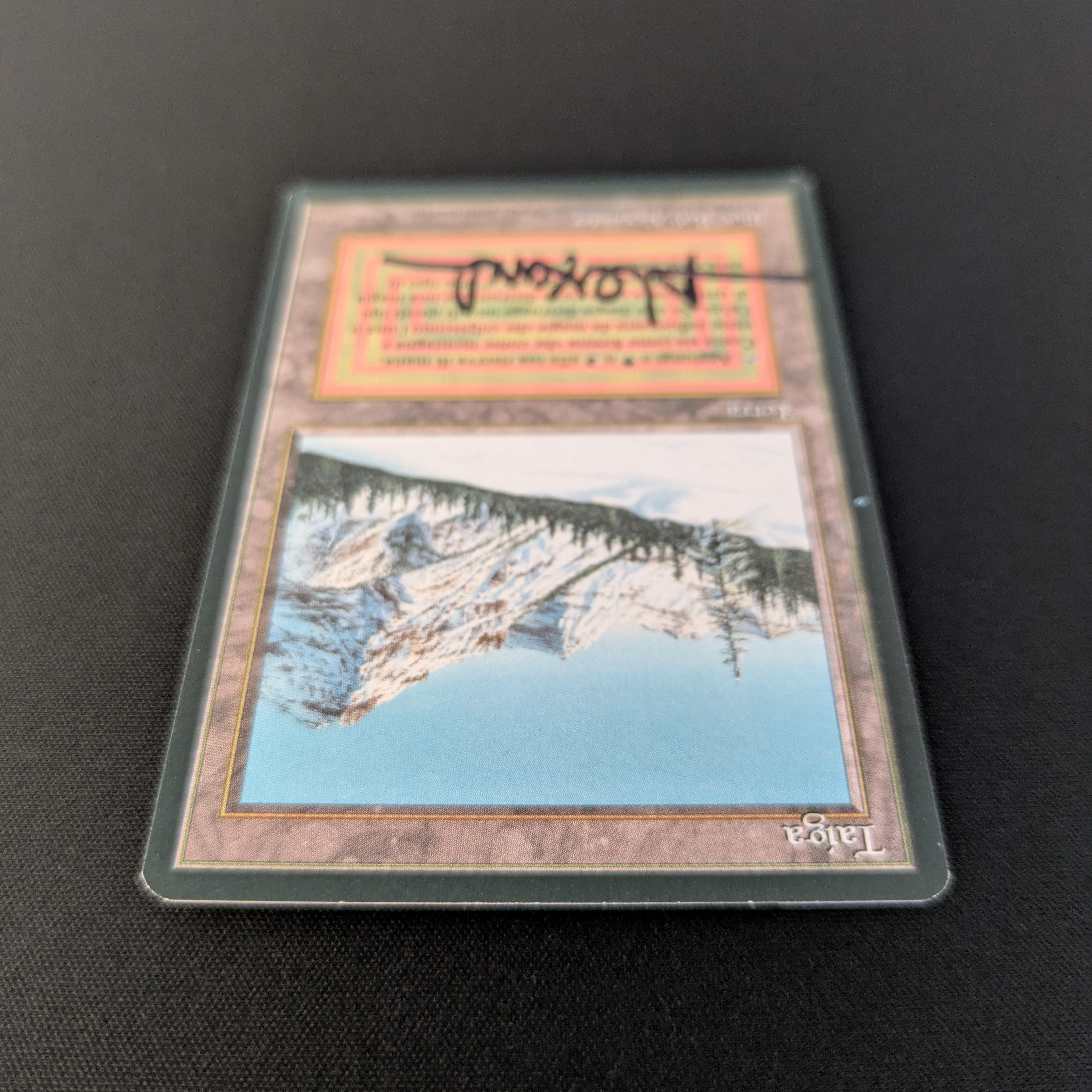 MTG Singles - Taiga - Foreign Black Bordered - 