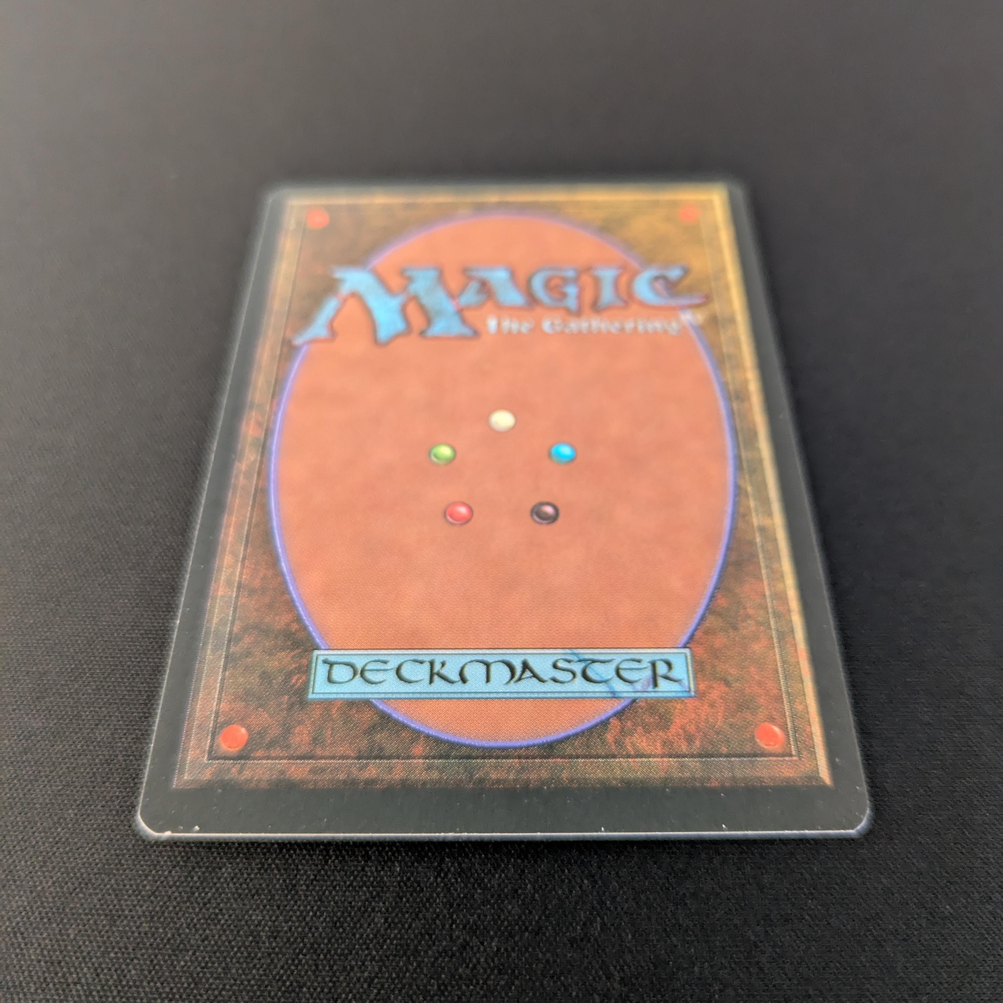 MTG Singles - Taiga - Foreign Black Bordered - 