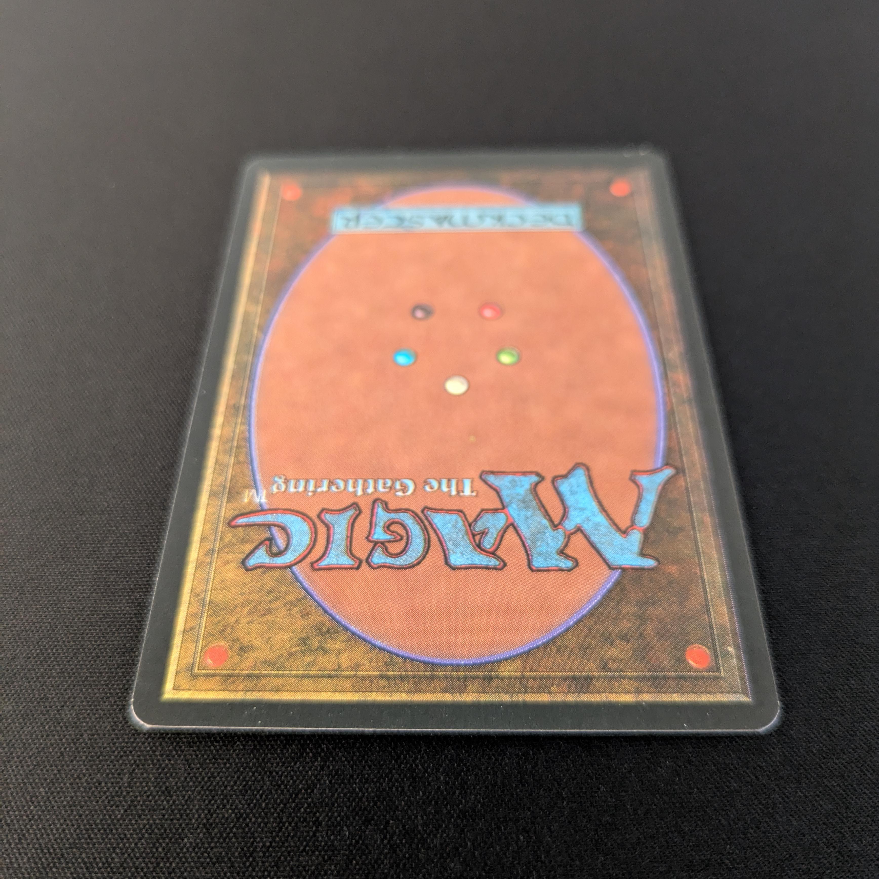 MTG Singles - Taiga - Foreign Black Bordered - 