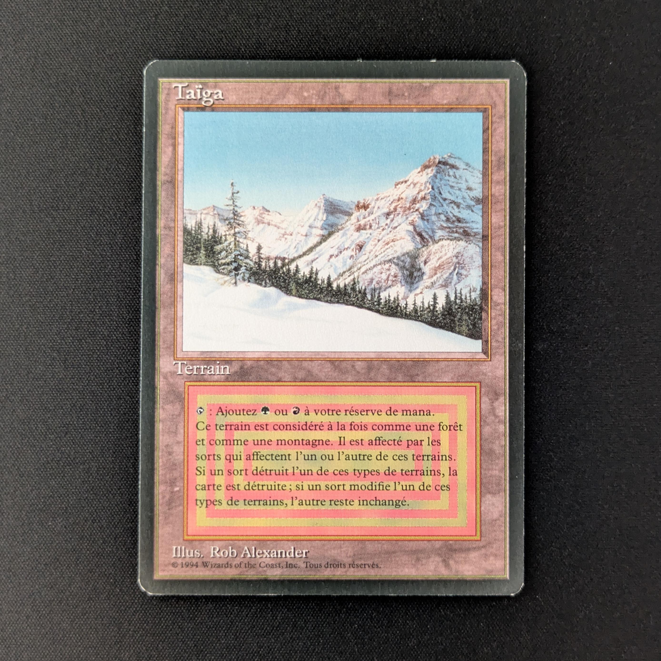 MTG Singles - Taiga - Foreign Black Bordered - French - NM - 27550