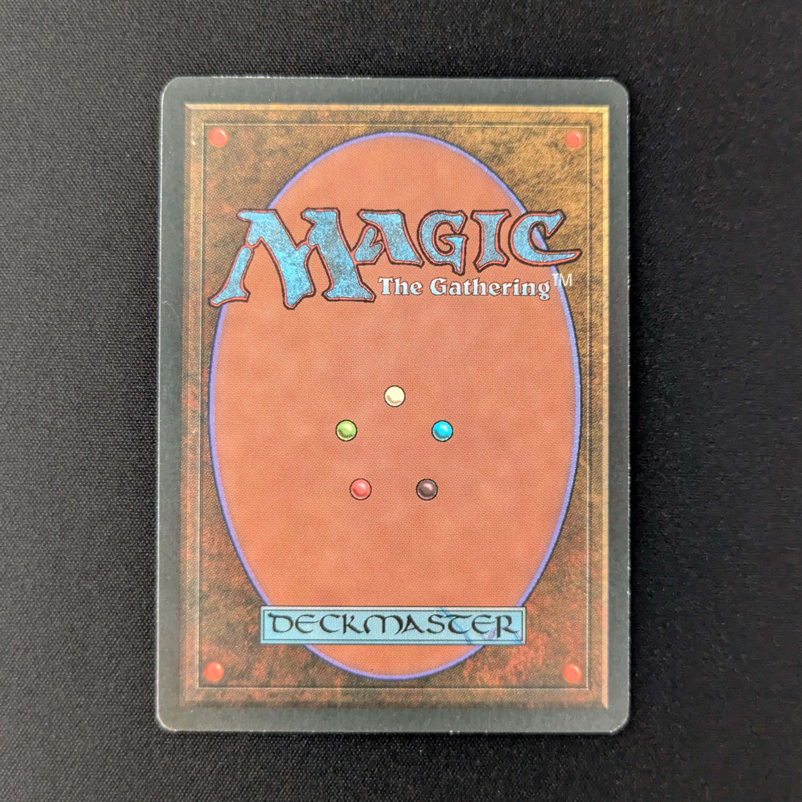 MTG Singles - Taiga - Foreign Black Bordered - 