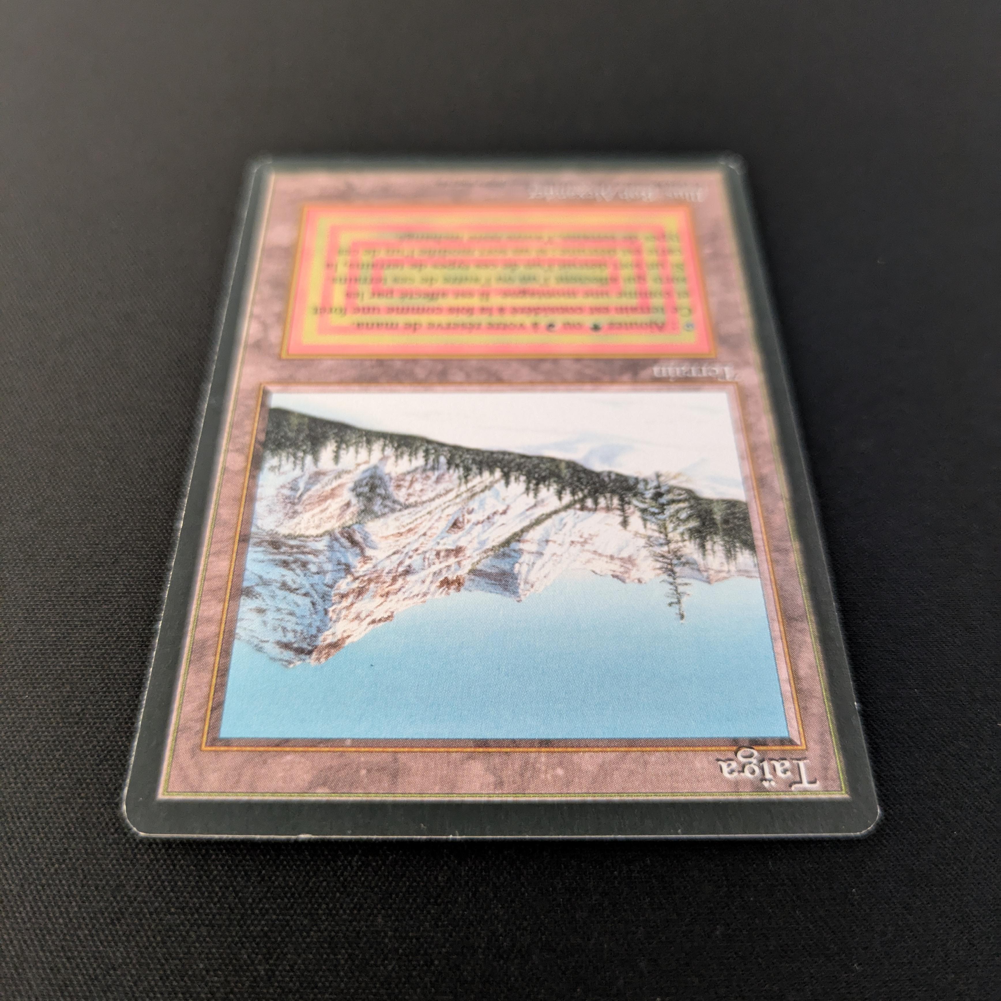 MTG Singles - Taiga - Foreign Black Bordered - 