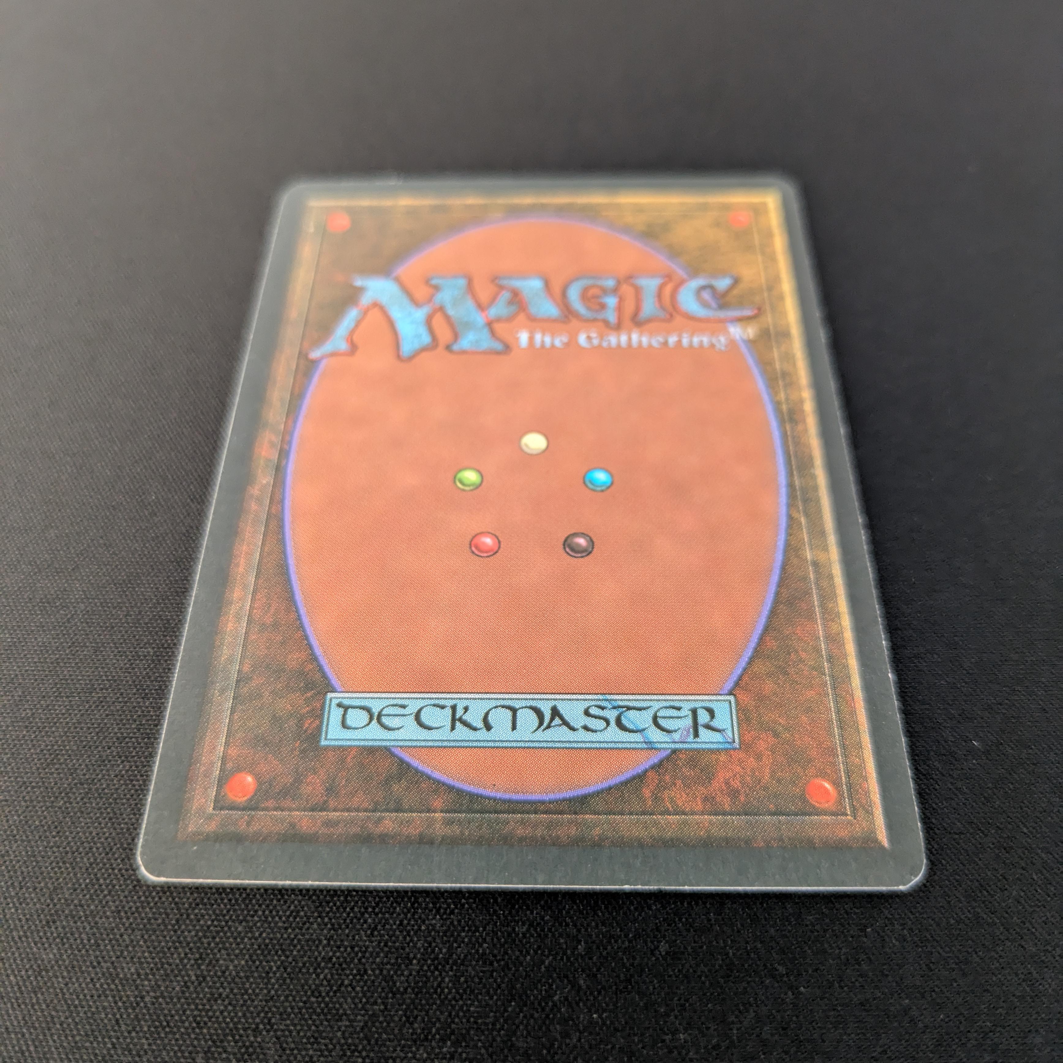 MTG Singles - Taiga - Foreign Black Bordered - 