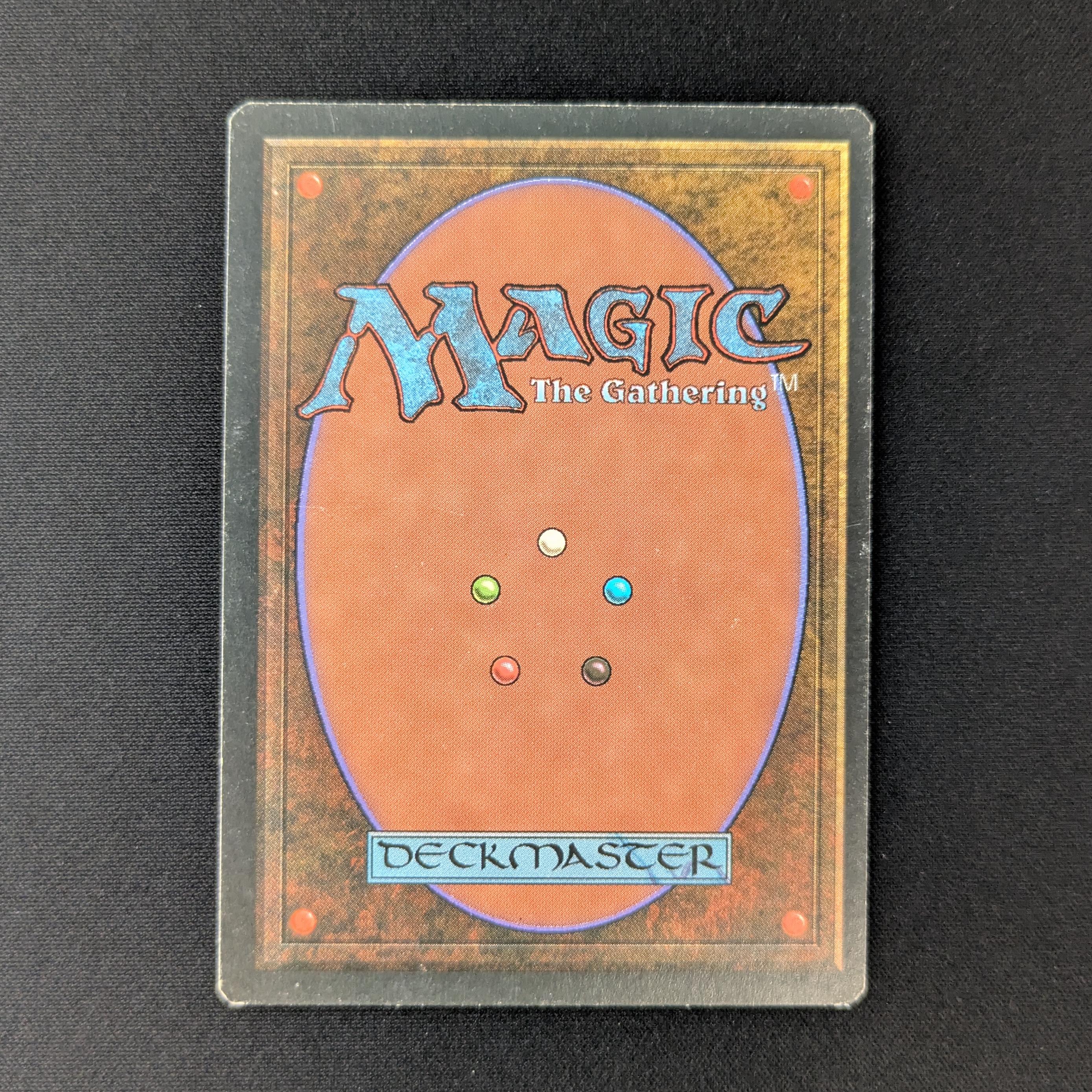MTG Singles - Bayou - Foreign Black Bordered - 
