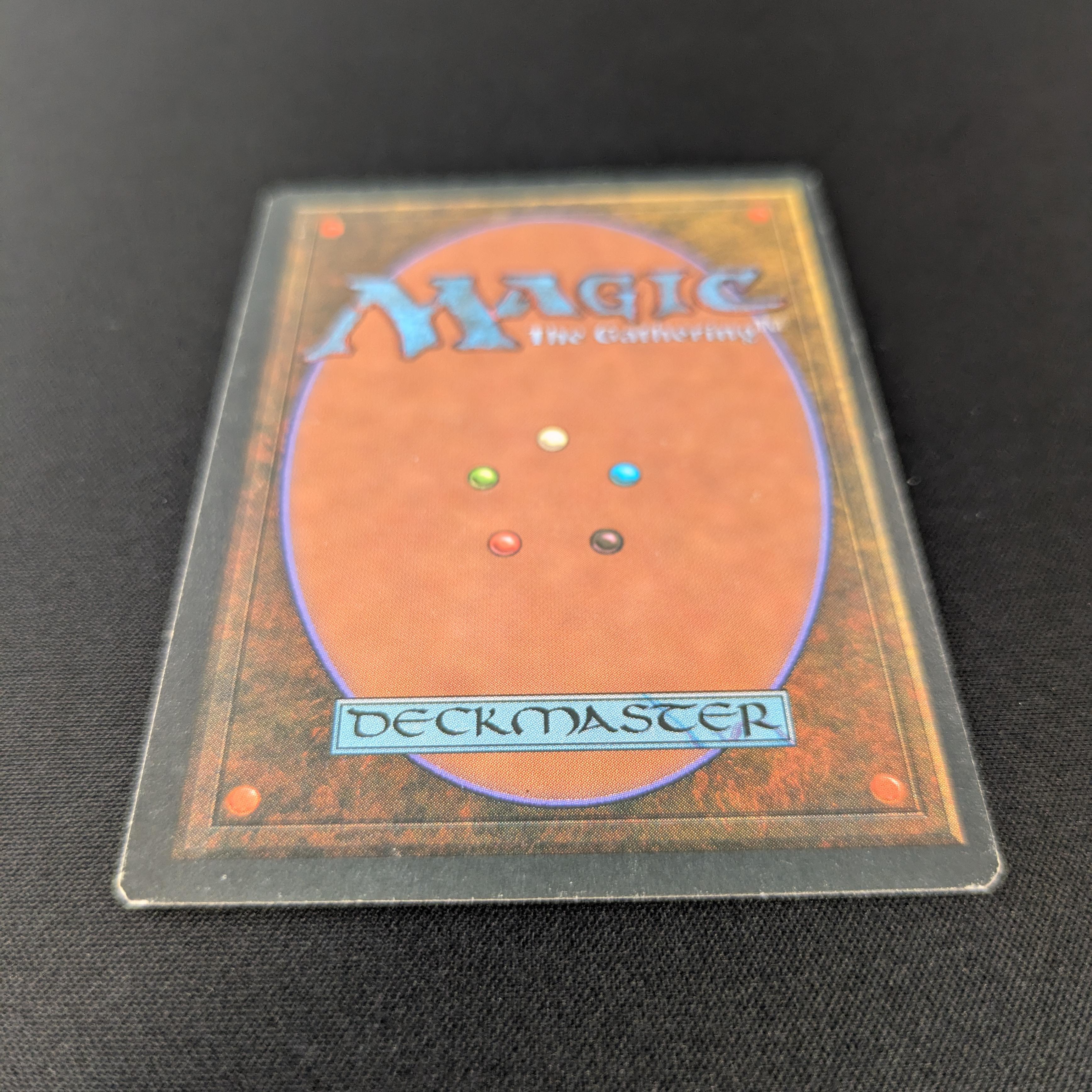 MTG Singles - Bayou - Foreign Black Bordered - 