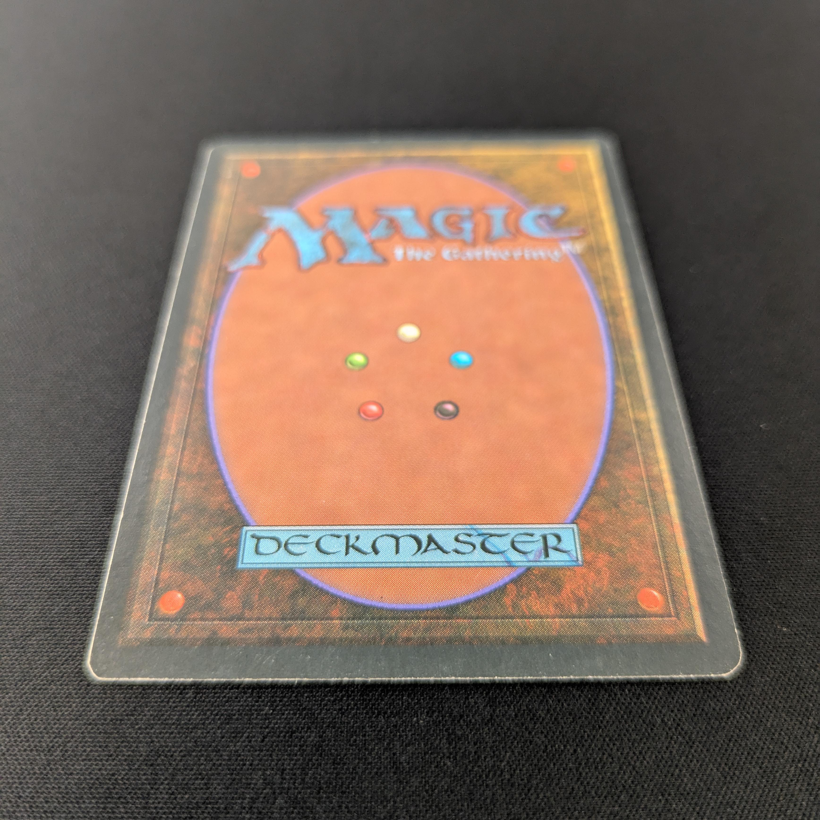 MTG Singles - Bayou - Foreign Black Bordered - 