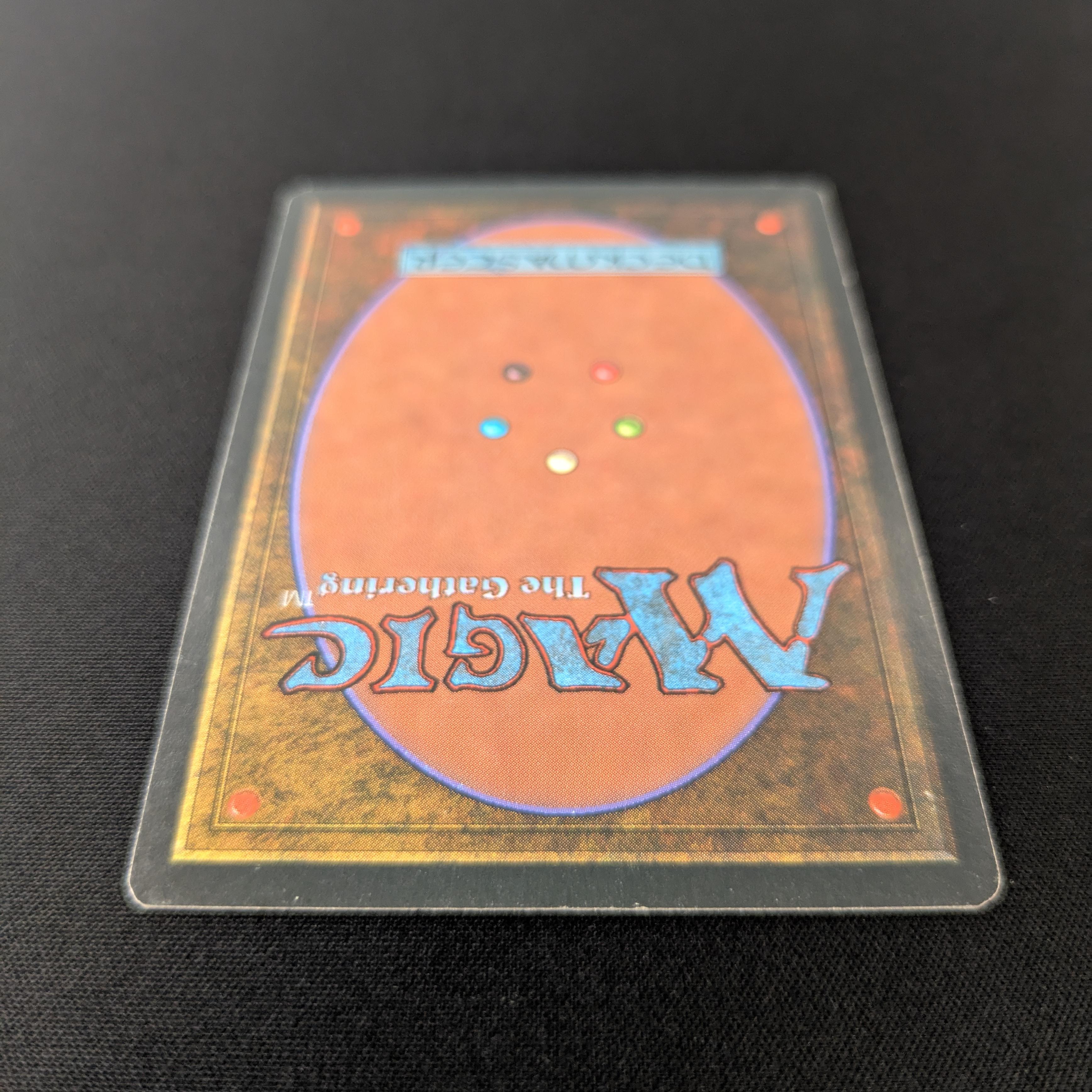 MTG Singles - Bayou - Foreign Black Bordered - 