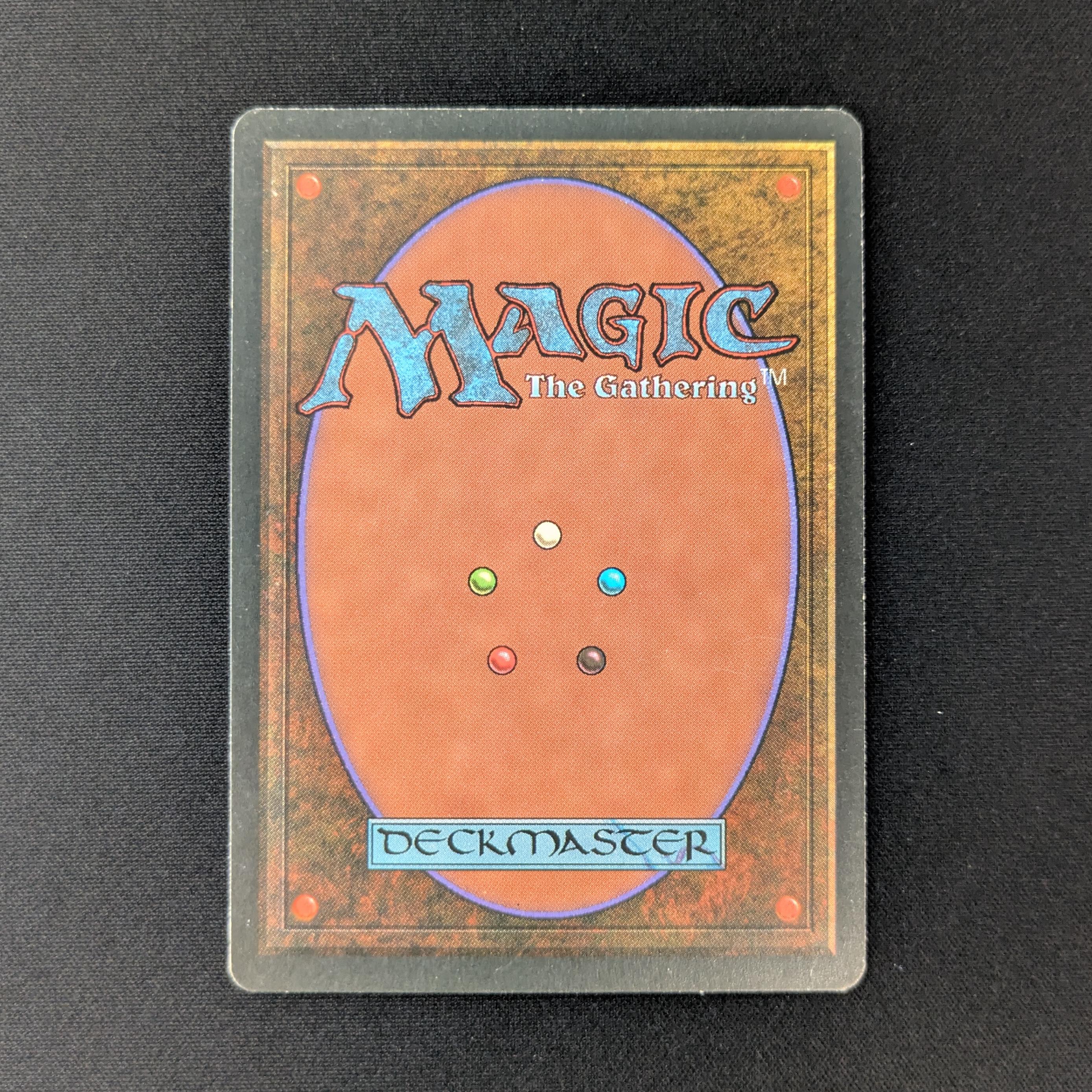 MTG Singles - Bayou - Foreign Black Bordered - 