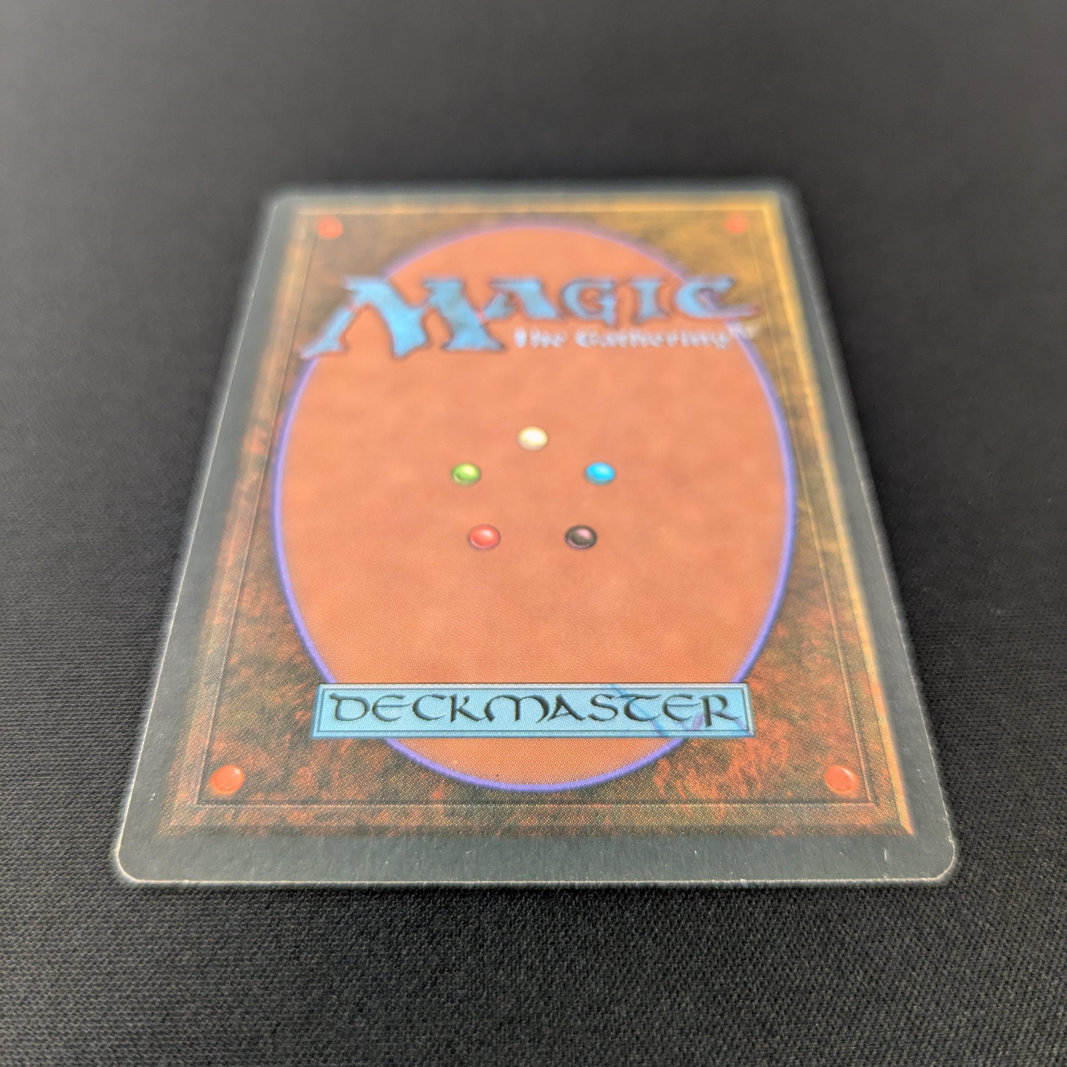 MTG Singles - Bayou - Foreign Black Bordered - 