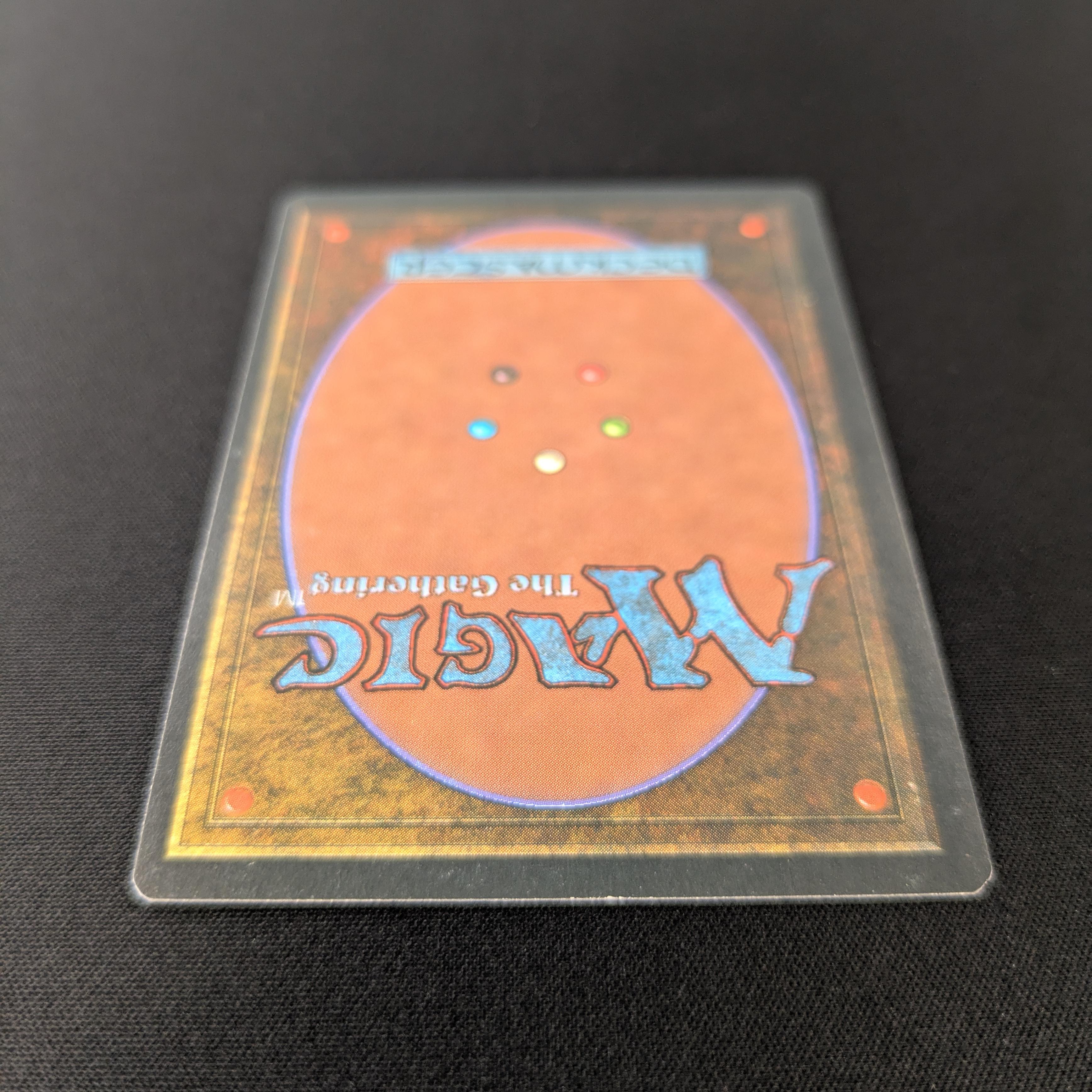 MTG Singles - Bayou - Foreign Black Bordered - 