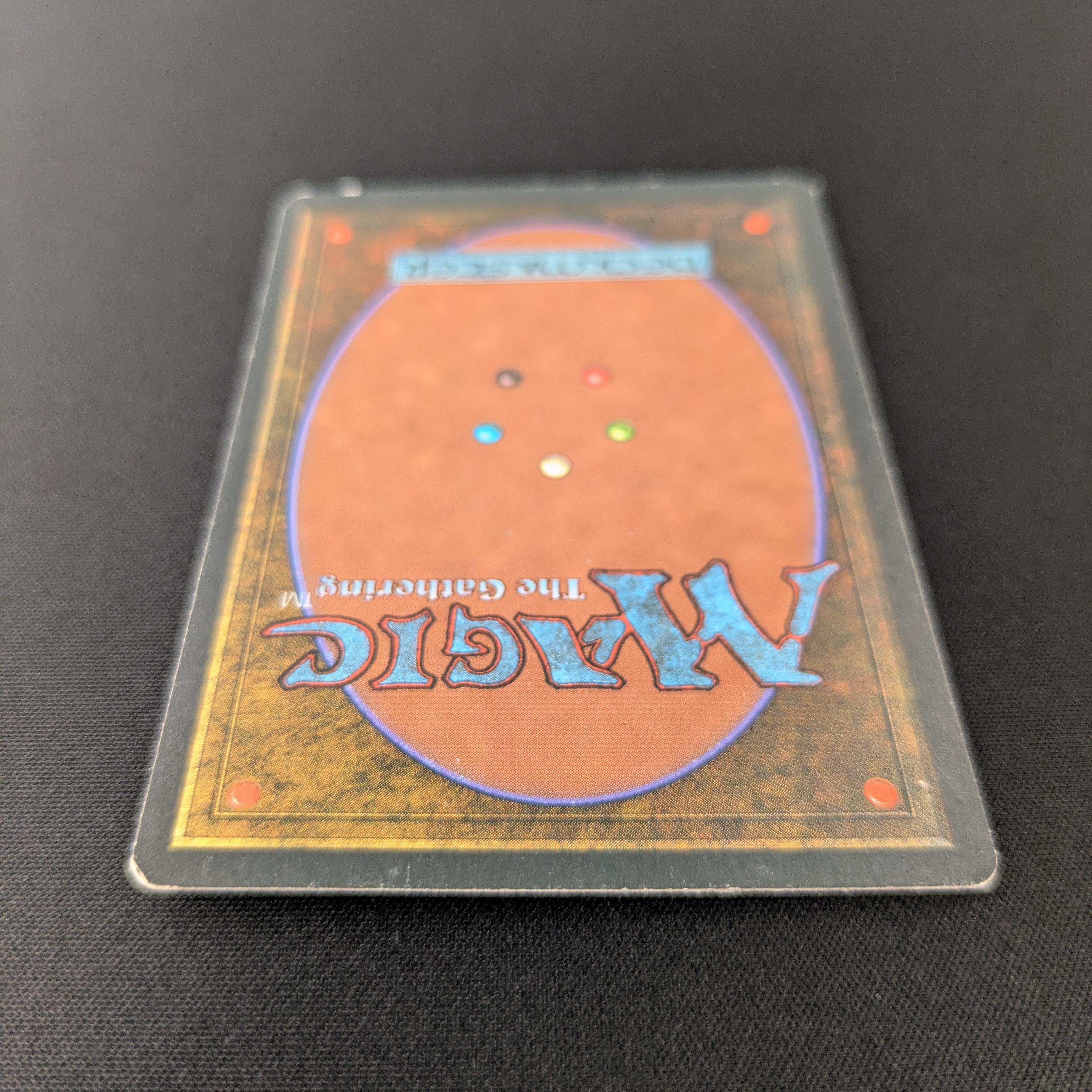 MTG Singles - Bayou - Foreign Black Bordered - 