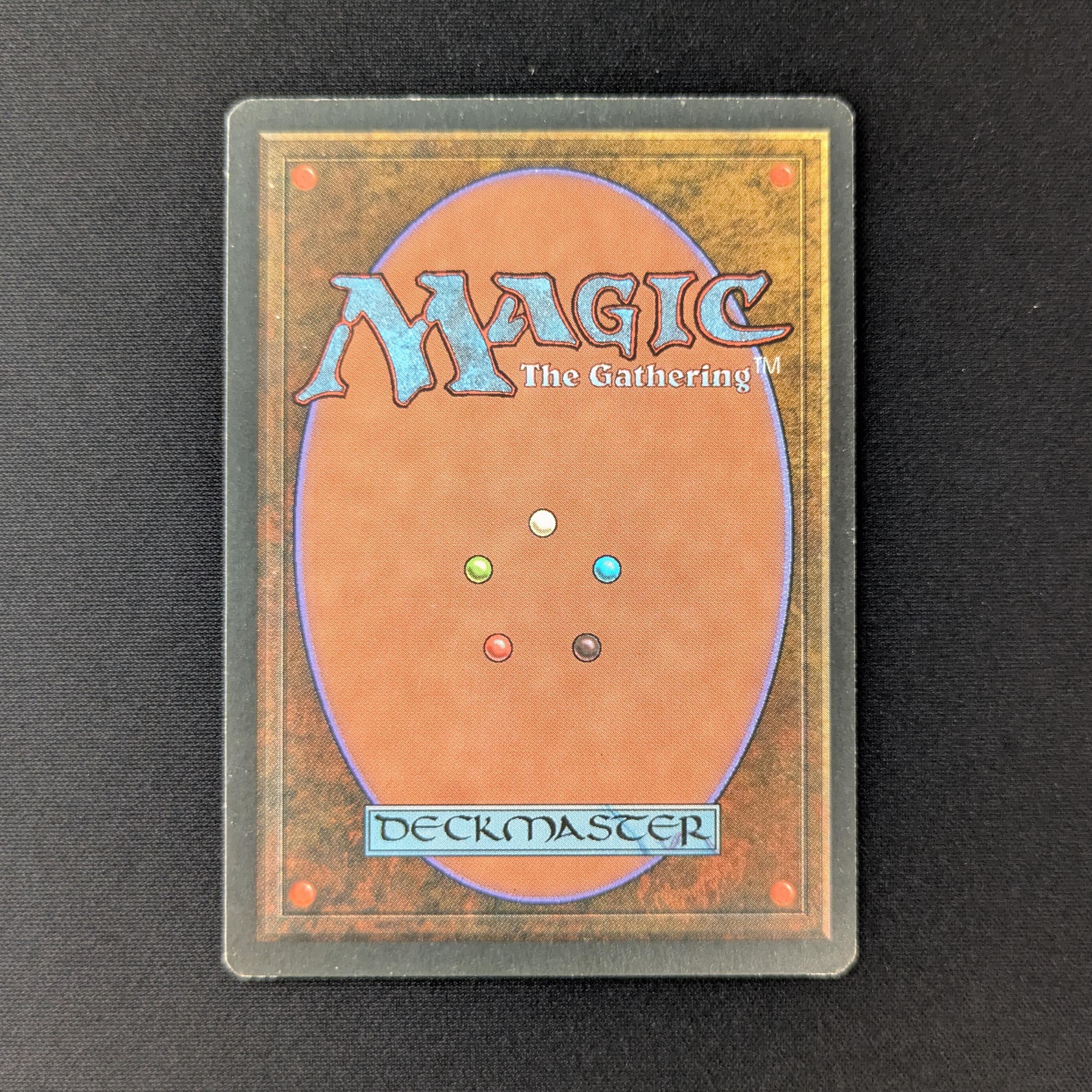 MTG Singles - Taiga - Foreign Black Bordered - 