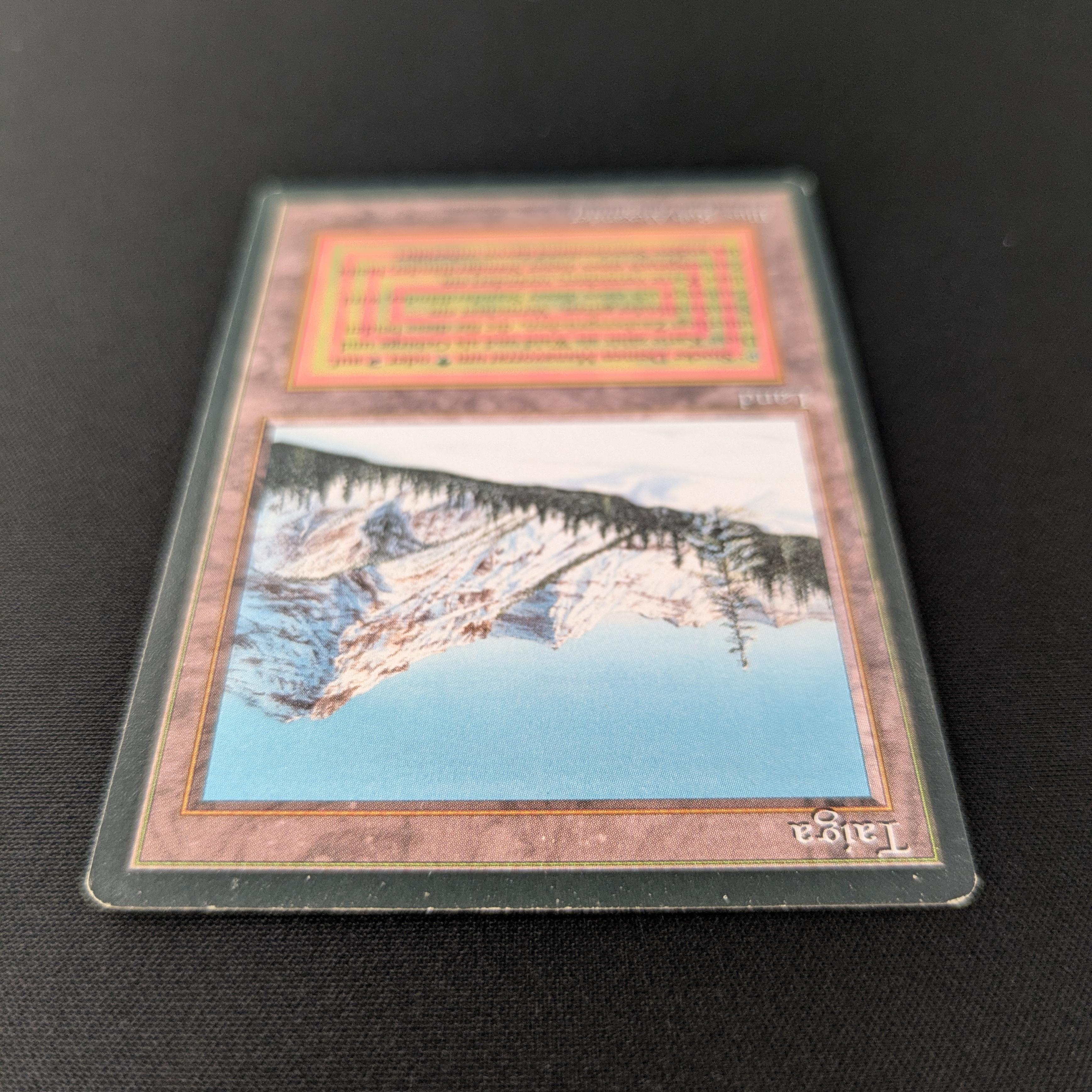 MTG Singles - Taiga - Foreign Black Bordered - 