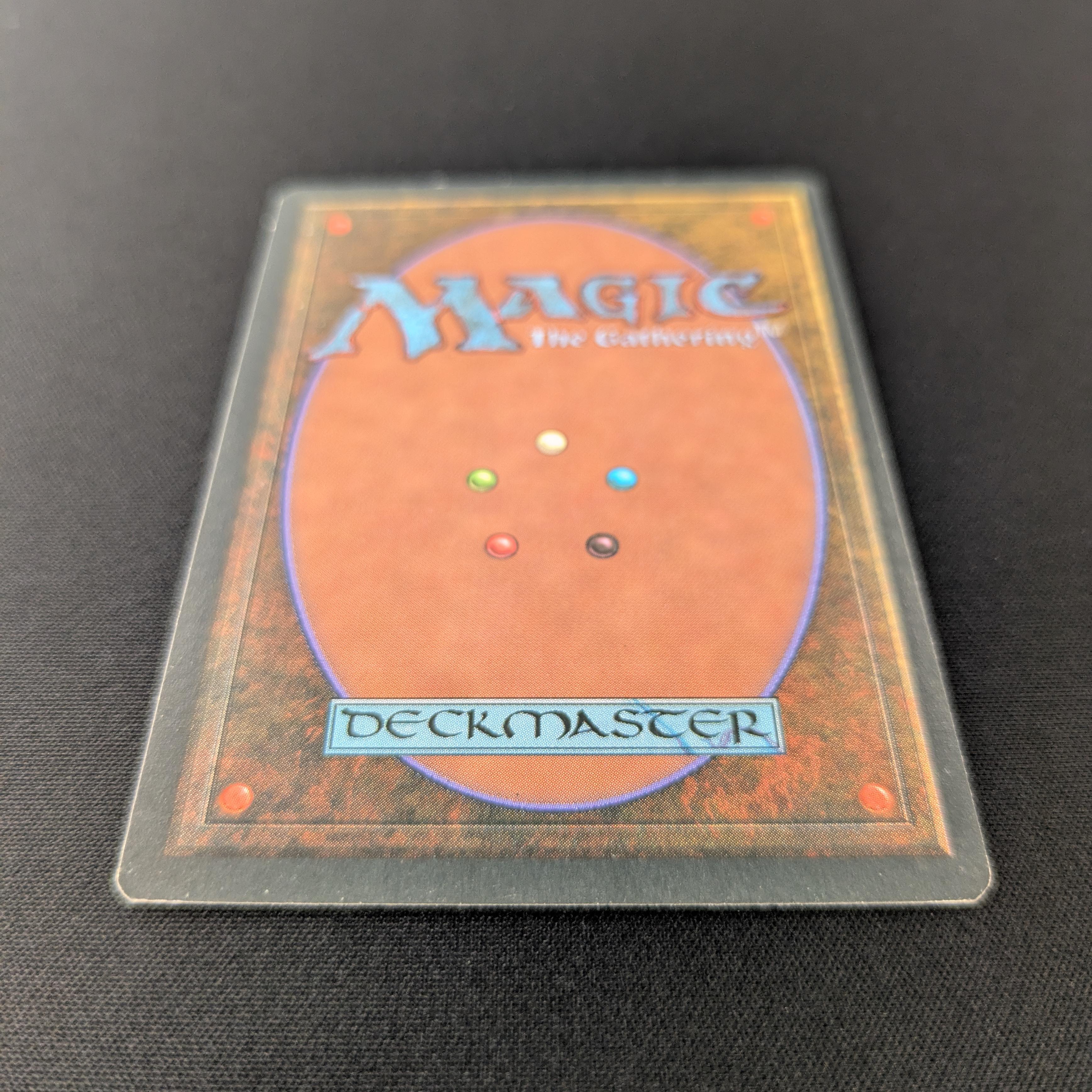 MTG Singles - Taiga - Foreign Black Bordered - 
