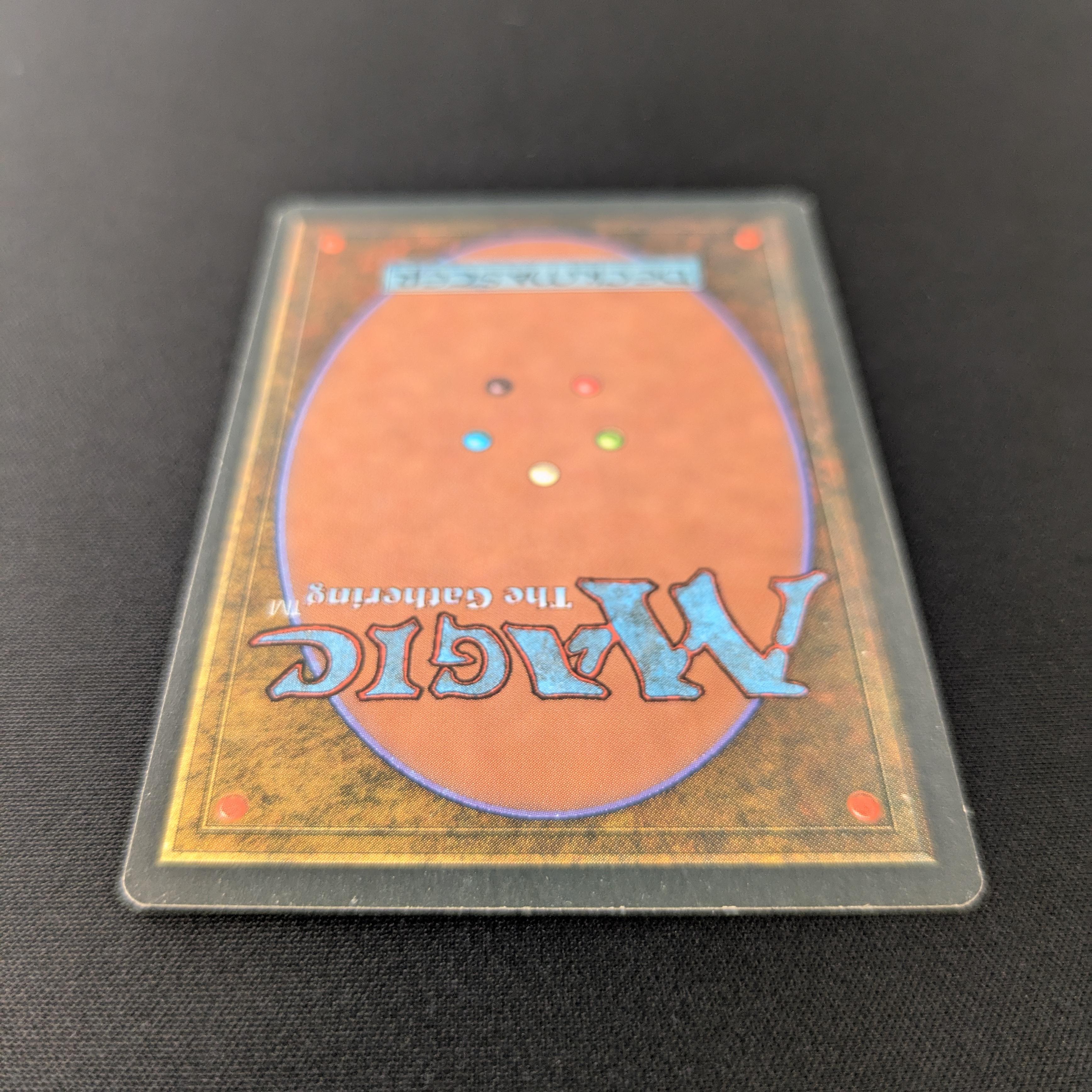 MTG Singles - Taiga - Foreign Black Bordered - 