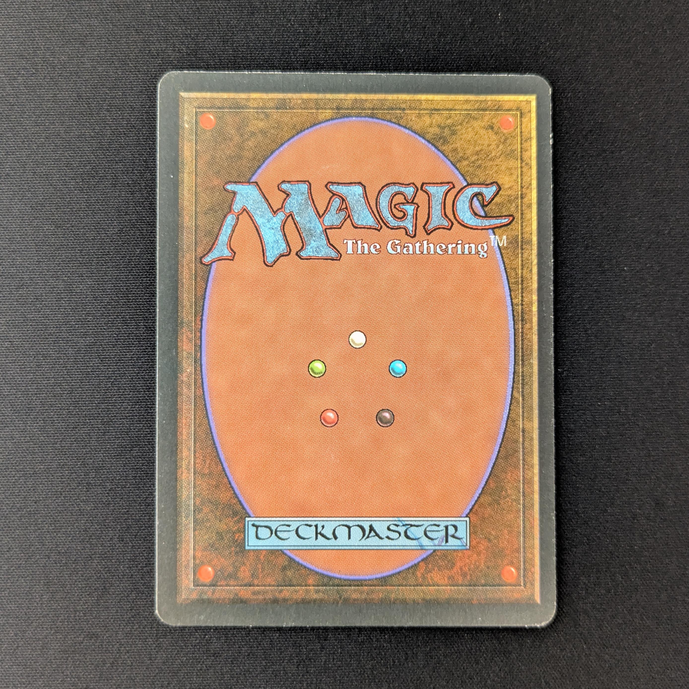 MTG Singles - Taiga - Foreign Black Bordered - 