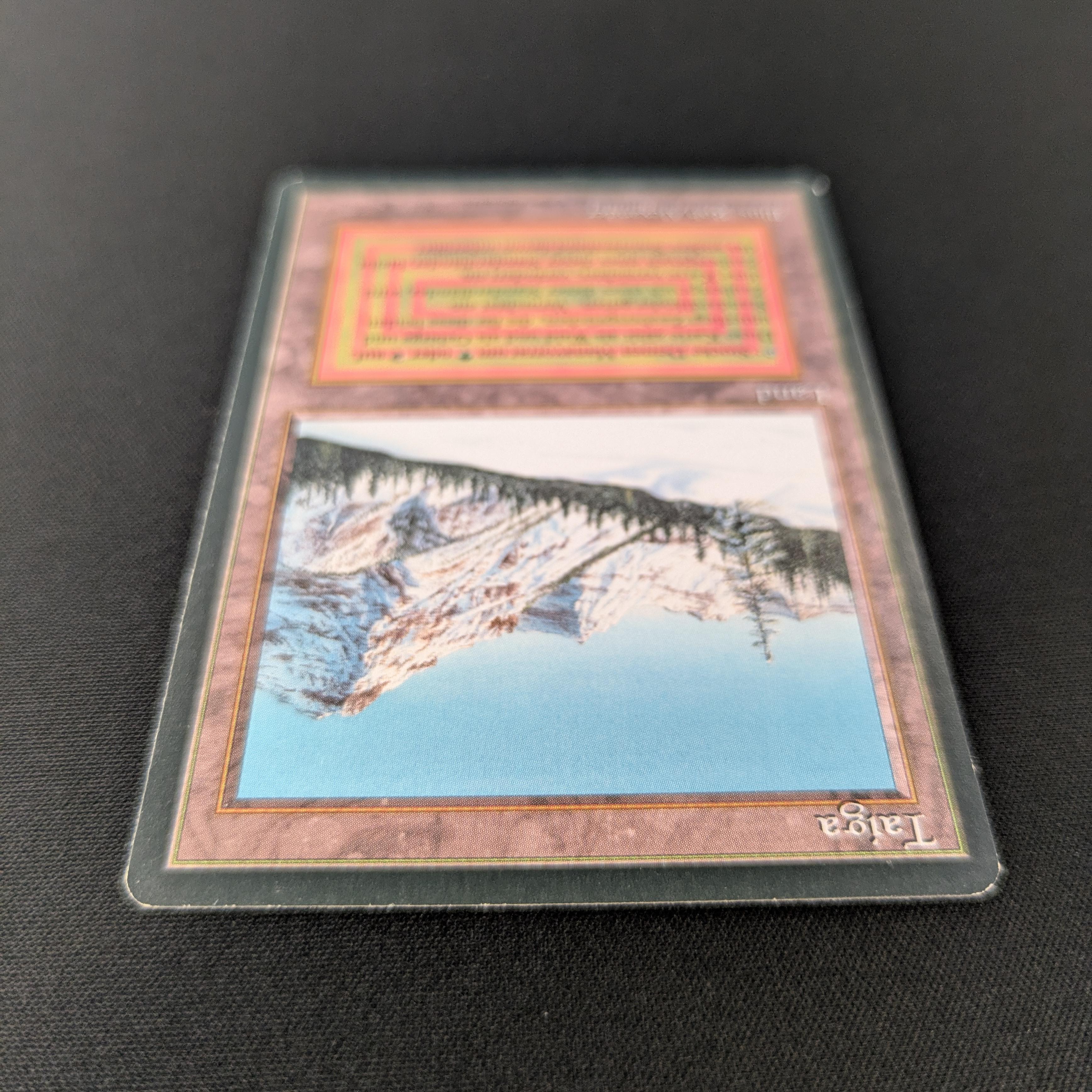 MTG Singles - Taiga - Foreign Black Bordered - 