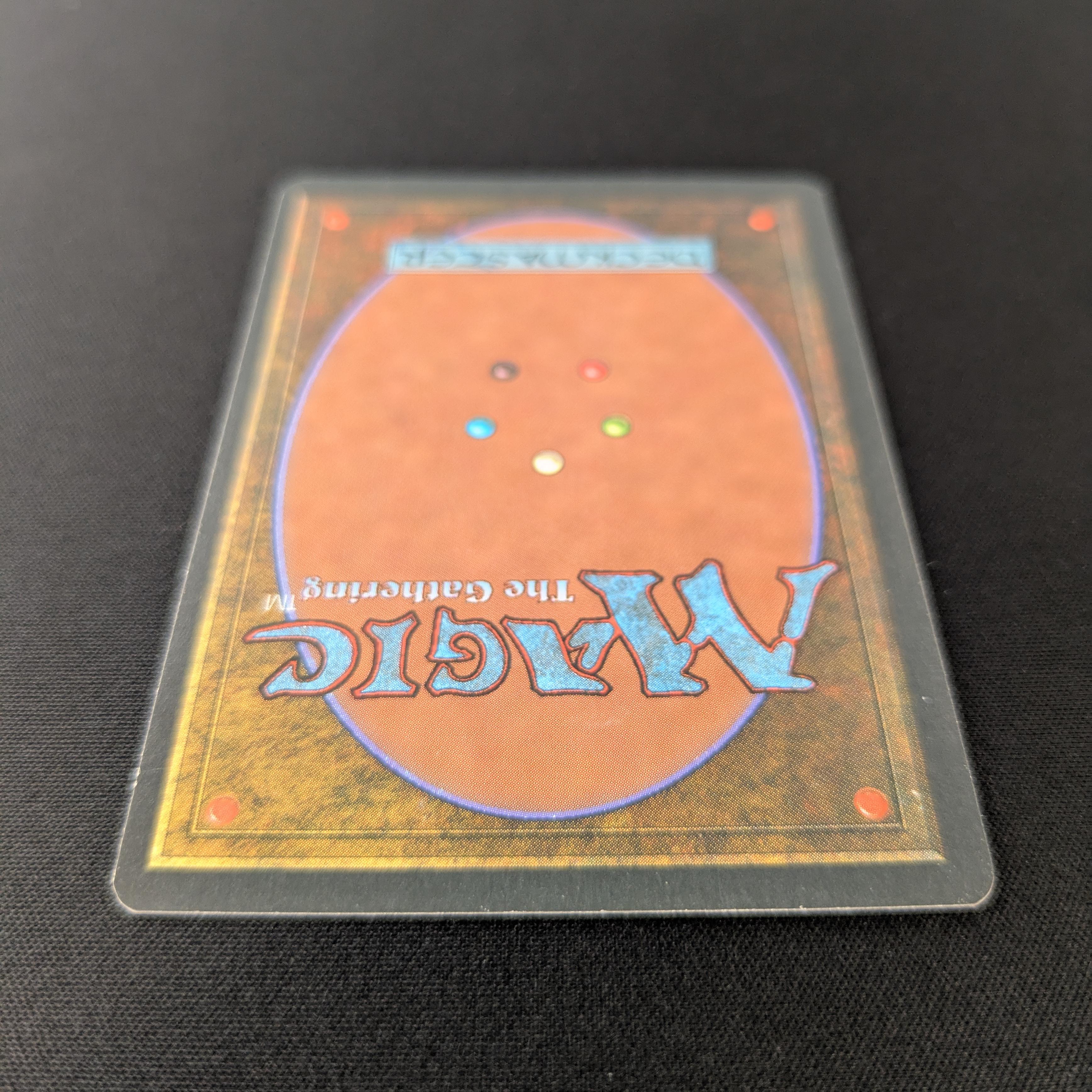 MTG Singles - Taiga - Foreign Black Bordered - 