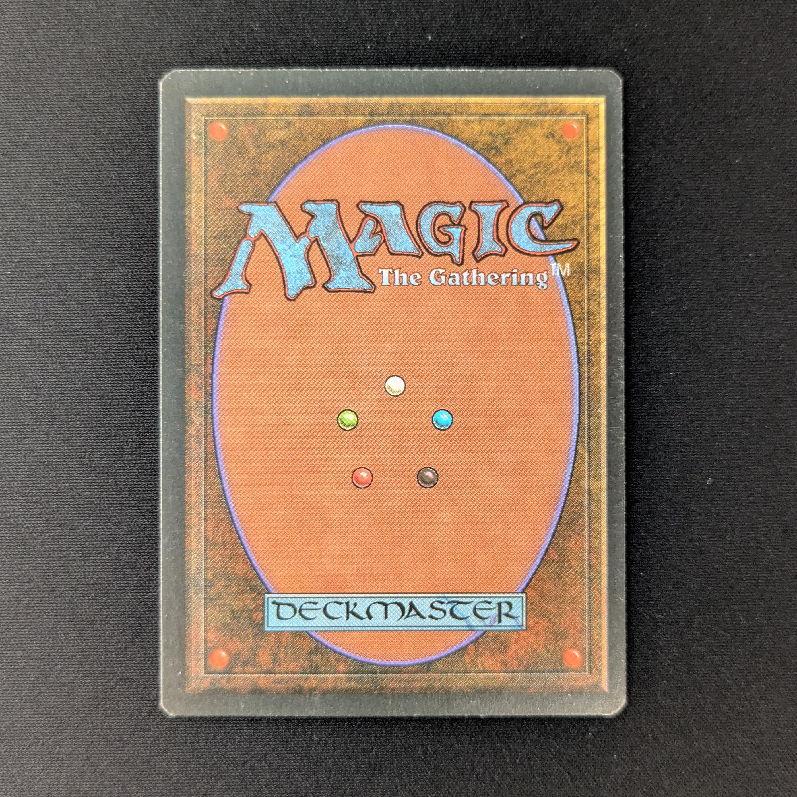 MTG Singles - Taiga - Foreign Black Bordered - 