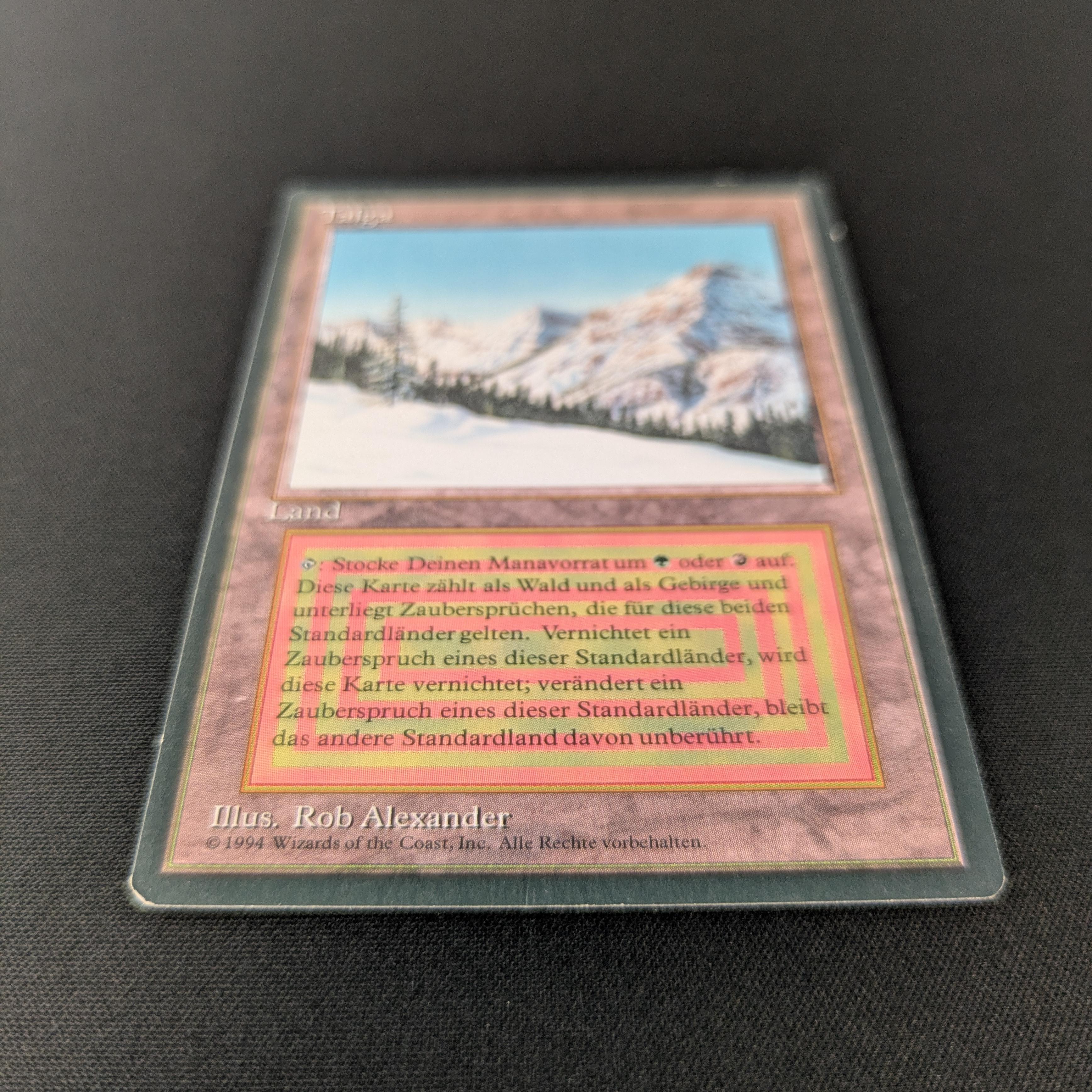 MTG Singles - Taiga - Foreign Black Bordered - 